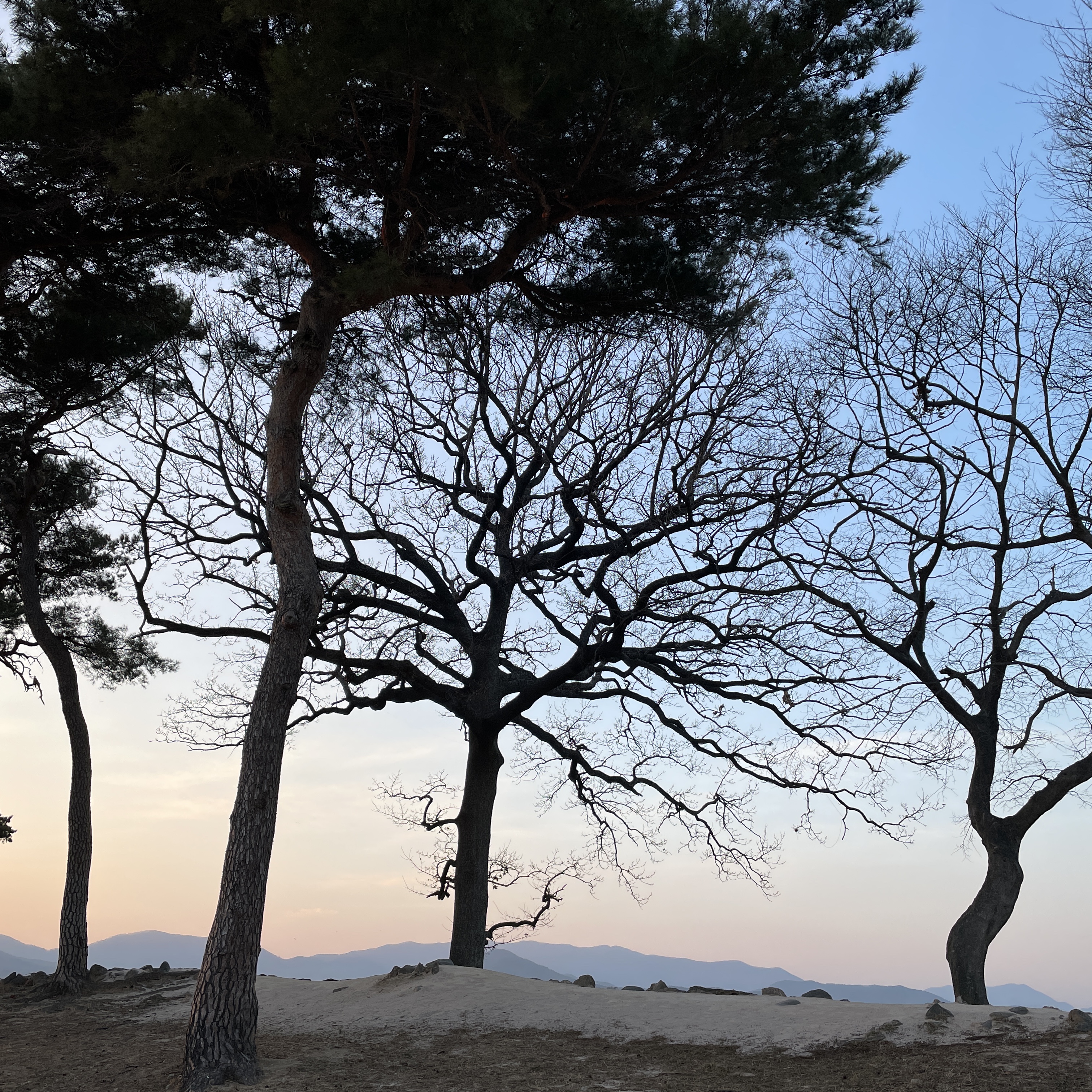 타로님의 스타일 - 4