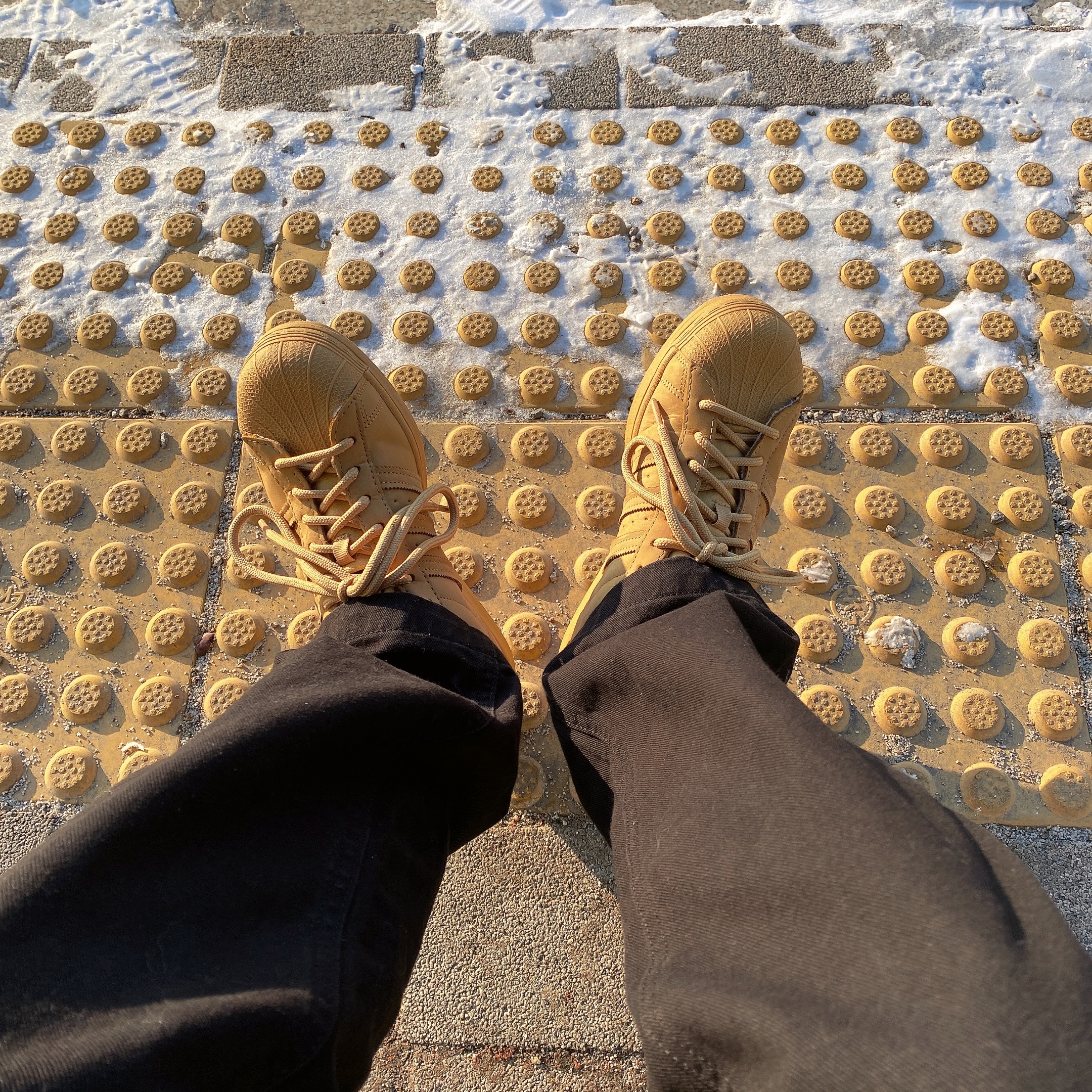 Adidas Superstar Golden Beige 착용 스타일