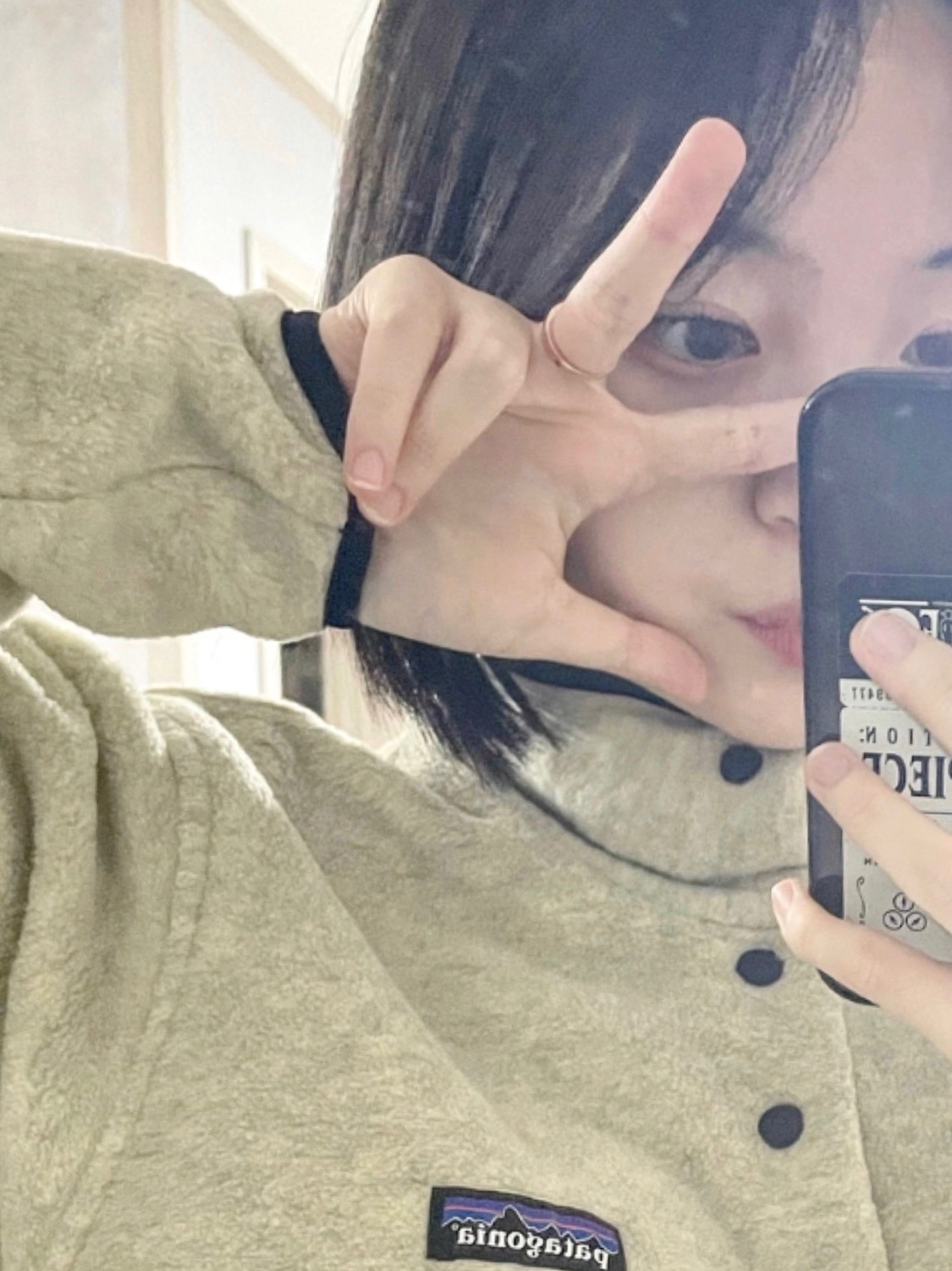 Patagonia Synchilla Snap-T Fleece Pullover Oatmeal Heather 착용 스타일