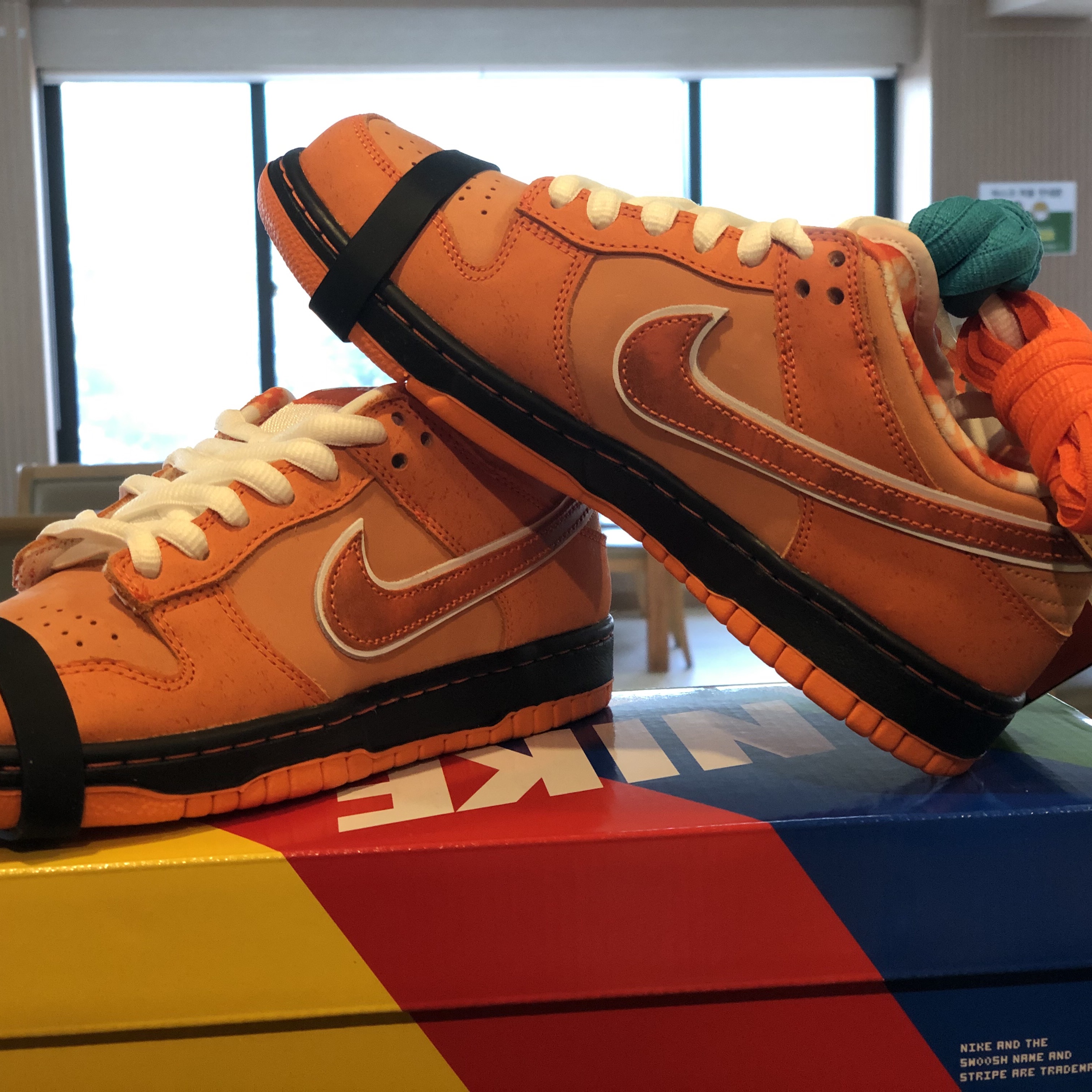Nike x Concepts SB Dunk Low Orange Lobster (Regular Box) 착용 스타일 - 1