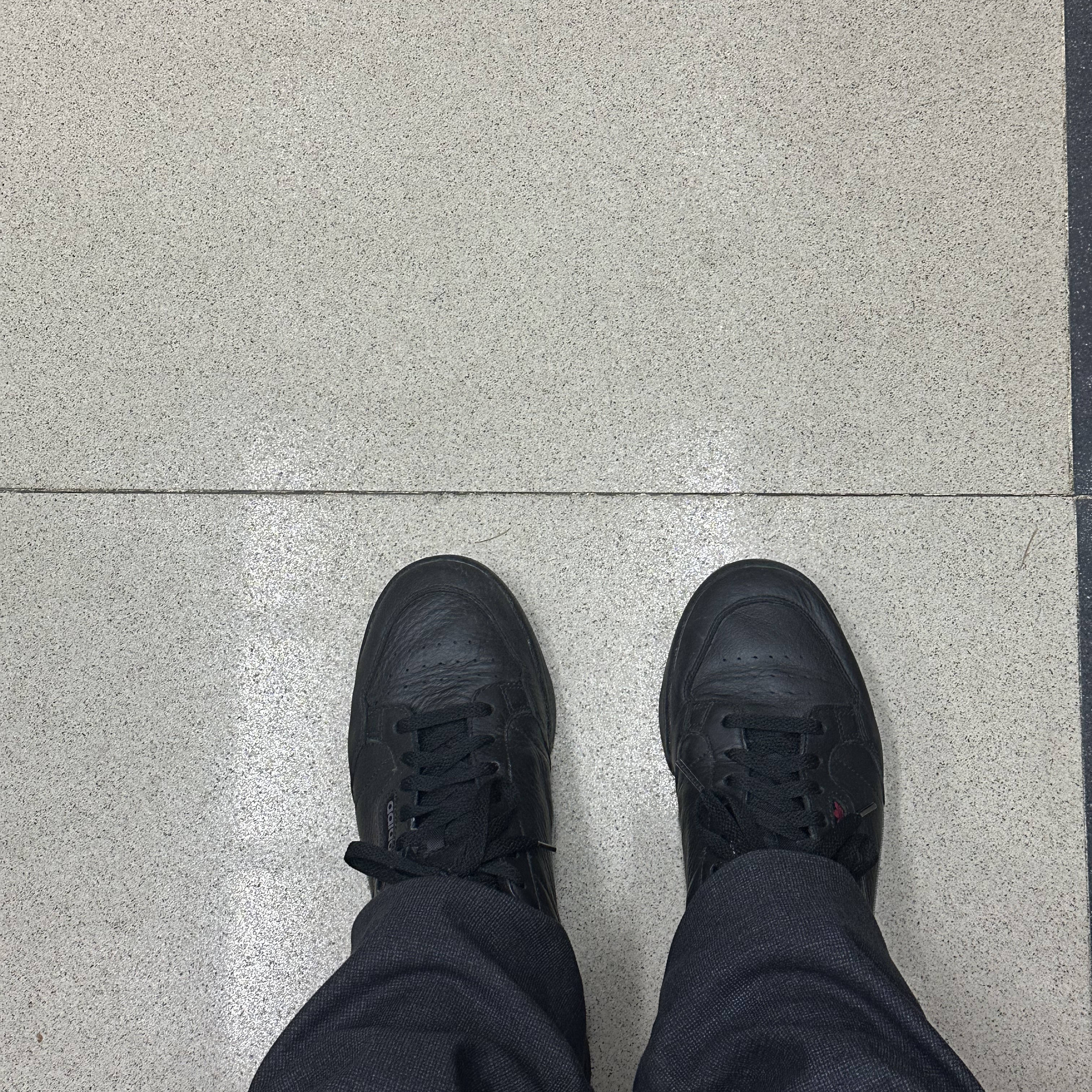 Adidas x Pharrell Williams Continental 80 Black Future 착용 스타일