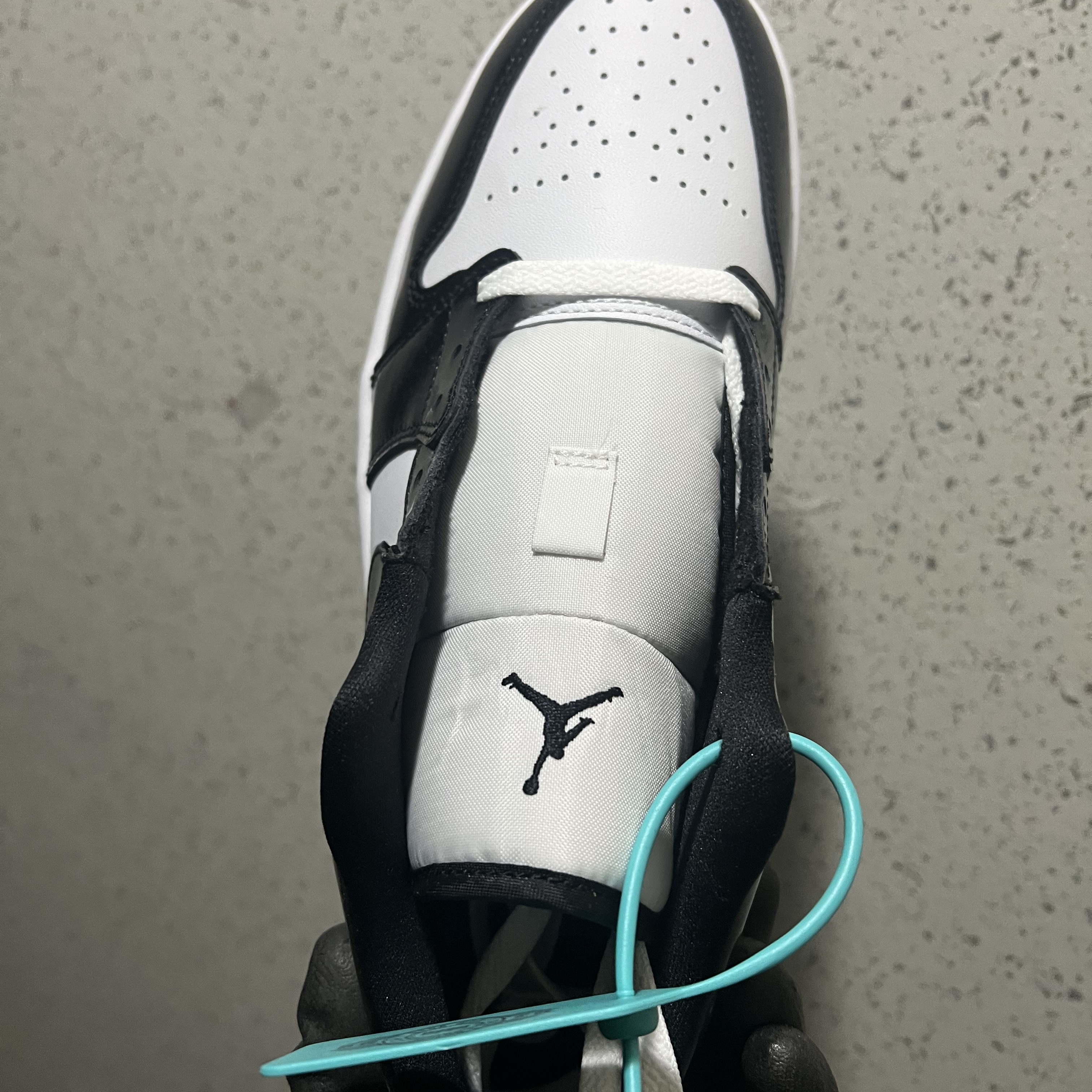 Jordan 1 Low SE Concord 착용 스타일 - 5