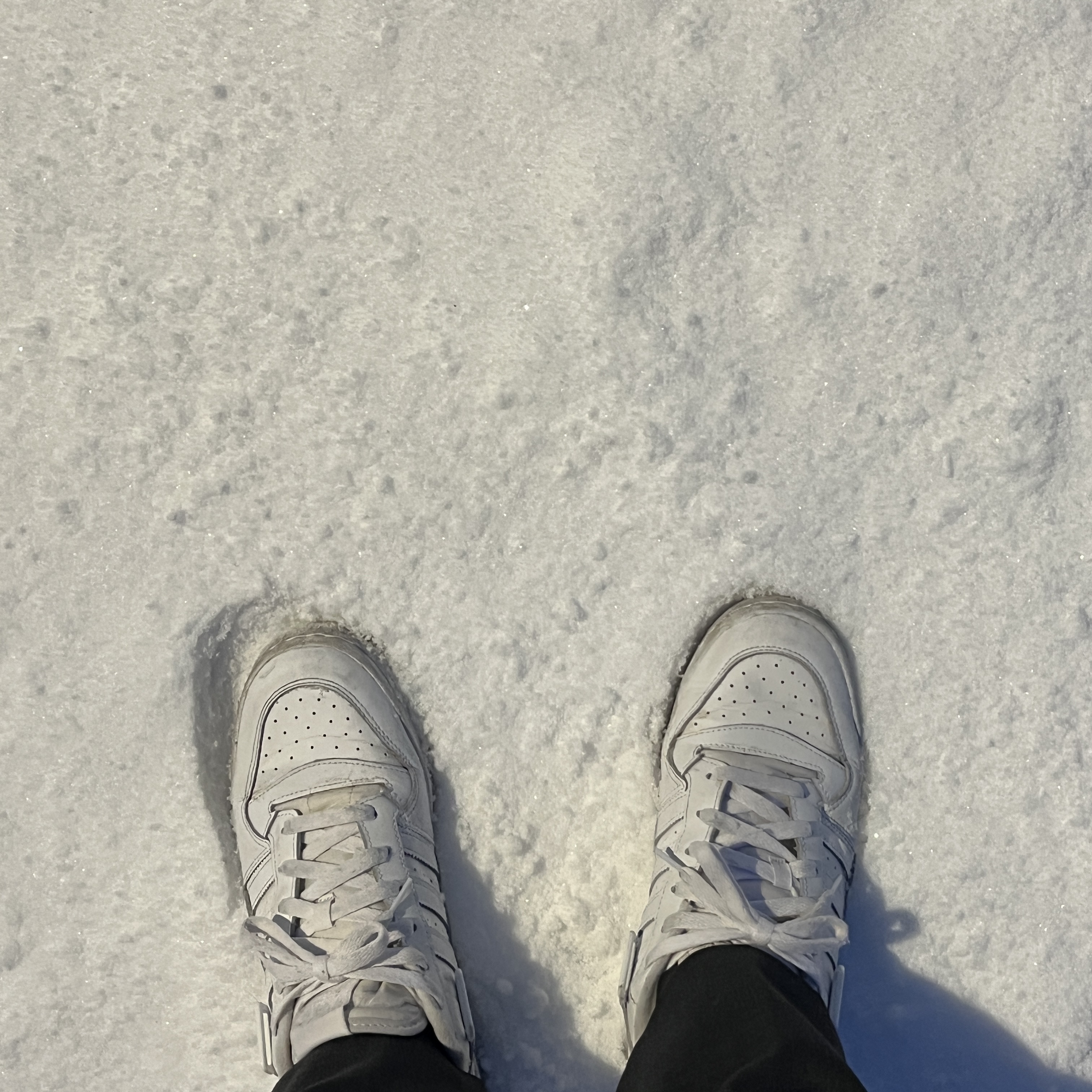 Adidas Forum Low Triple White 착용 스타일