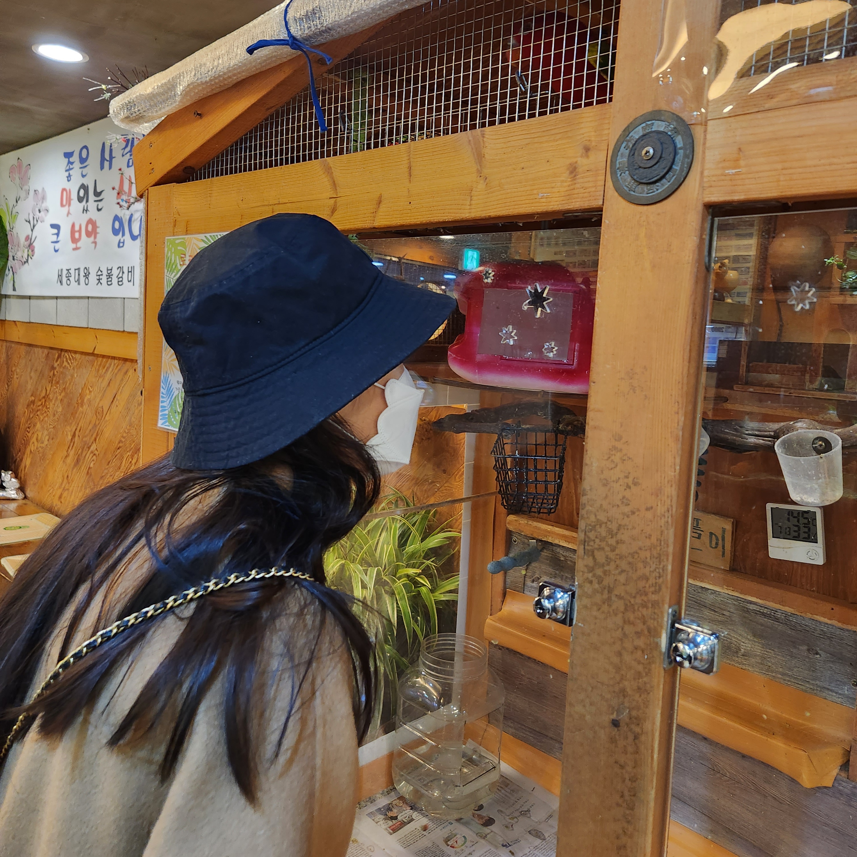 Acne Studios Twill Bucket Hat Sage Green, Acne Studios Mohair Check Muffler Pastel Blue Beige 착용 스타일 - 2