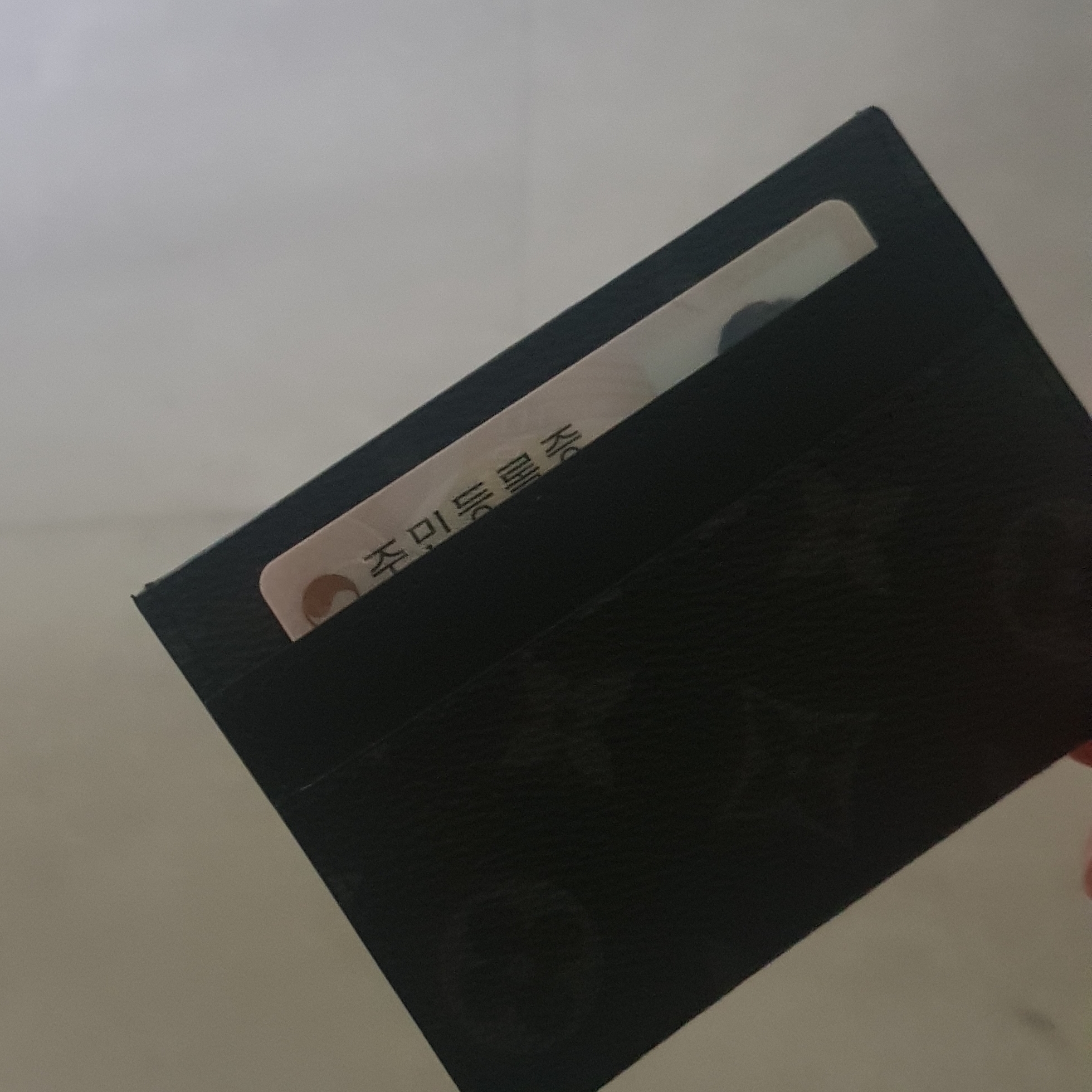 Louis Vuitton Double Card Holder Monogram Eclipse 착용 스타일 - 2