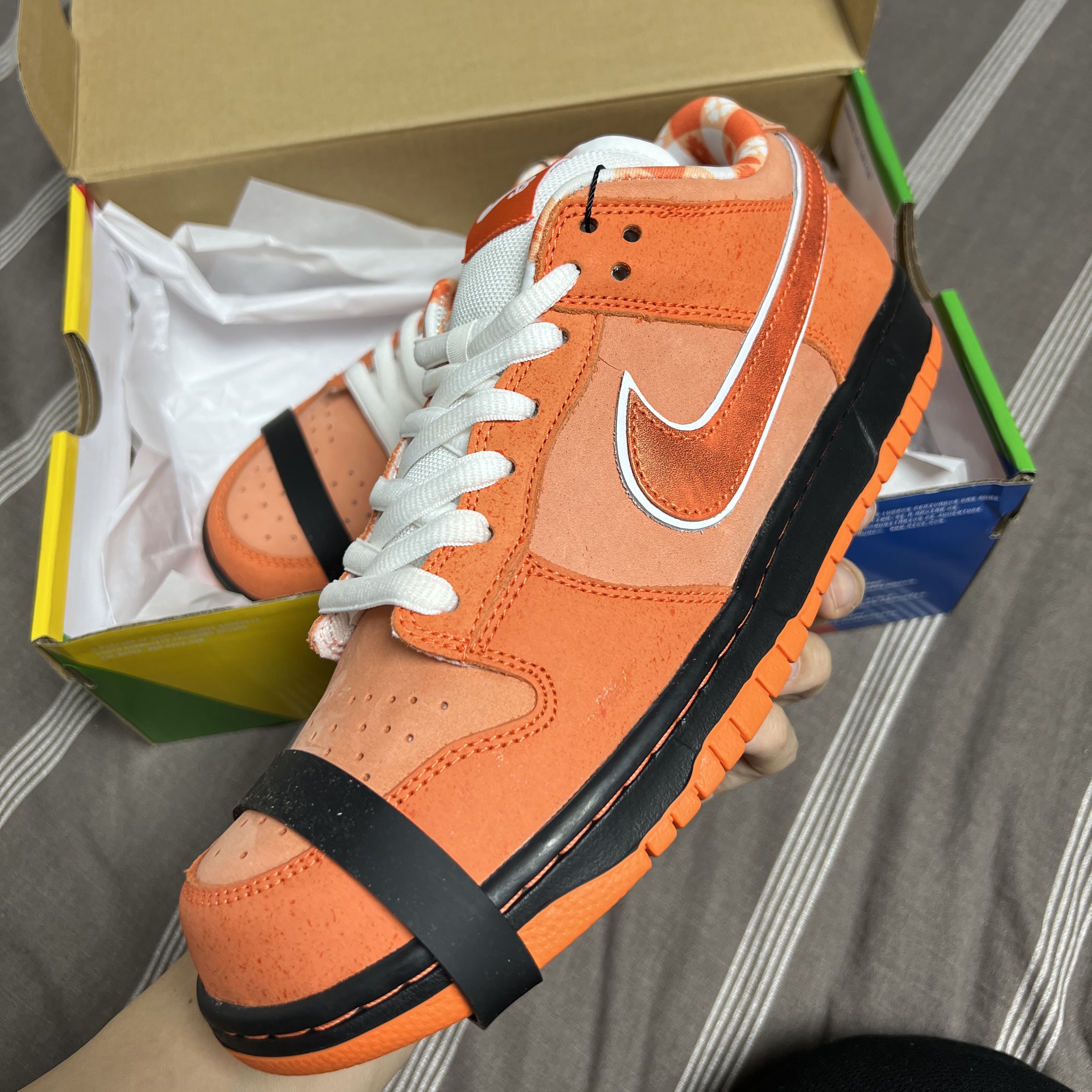 Nike x Concepts SB Dunk Low Orange Lobster (Regular Box) 착용 스타일 - 5