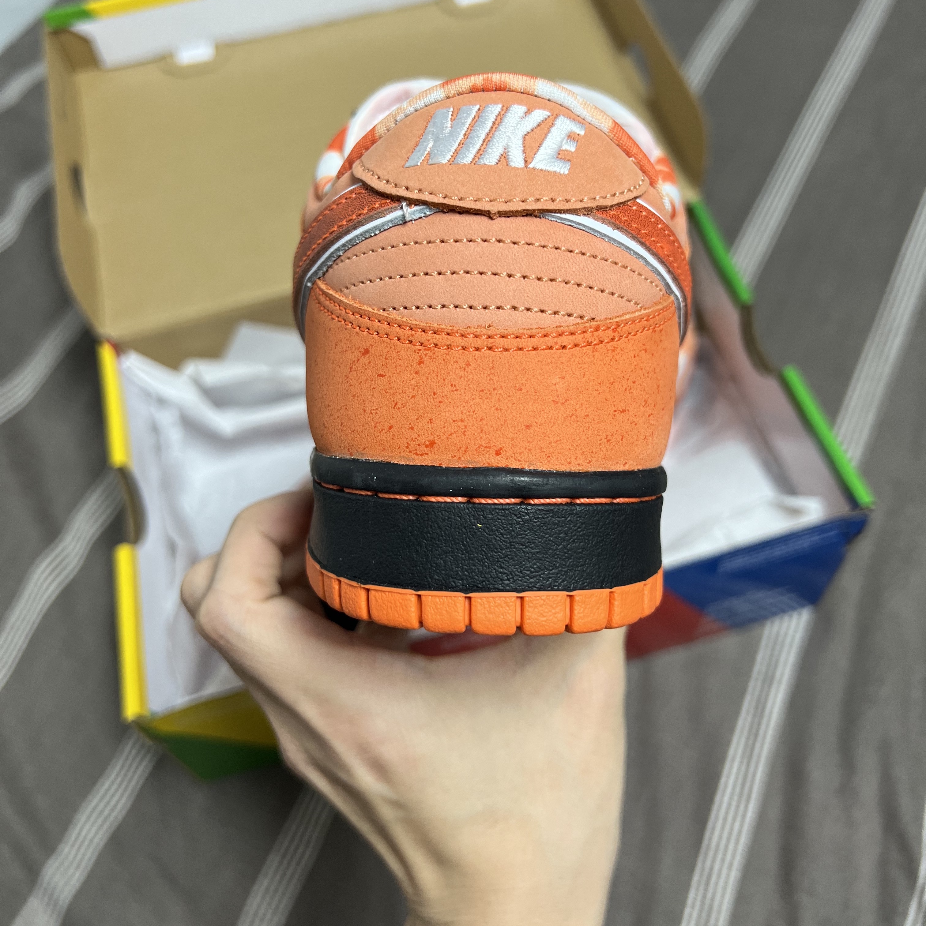 Nike x Concepts SB Dunk Low Orange Lobster (Regular Box) 착용 스타일 - 2