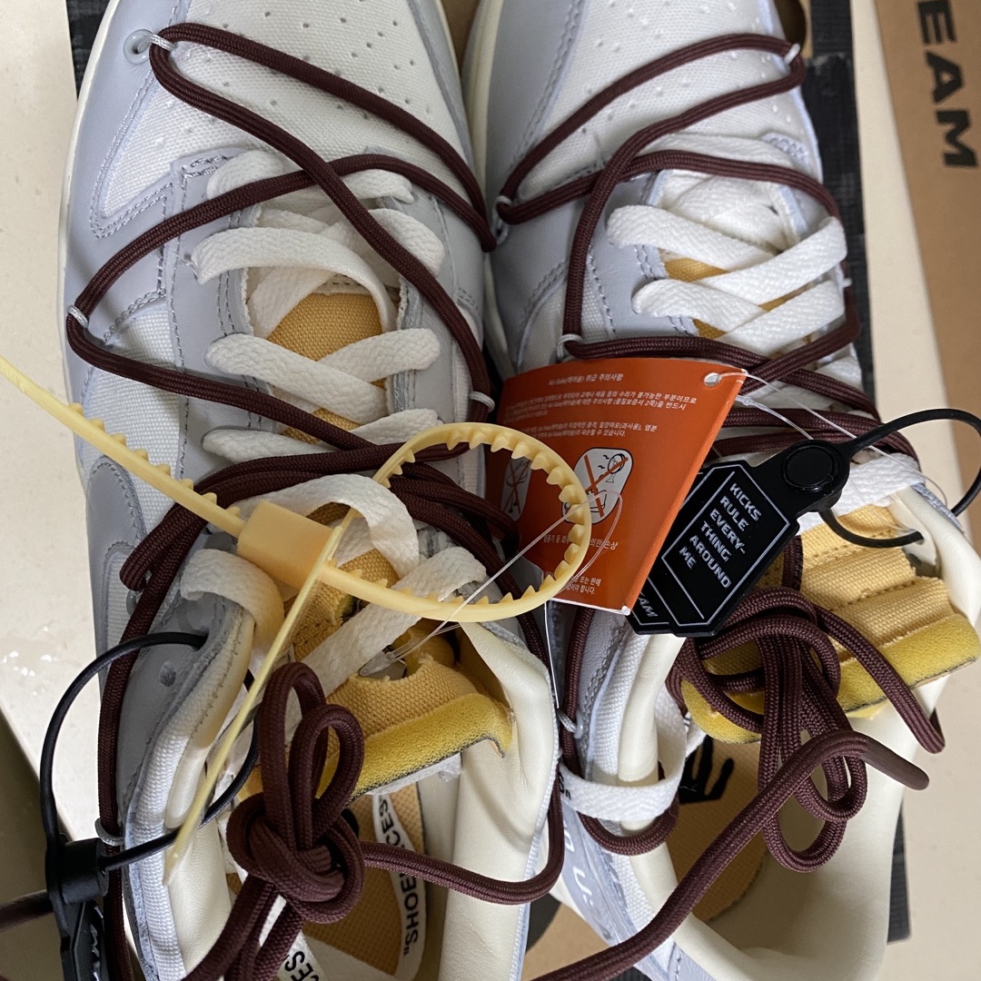 Nike x Off-White Dunk Low The 50 - Lot 46 착용 스타일