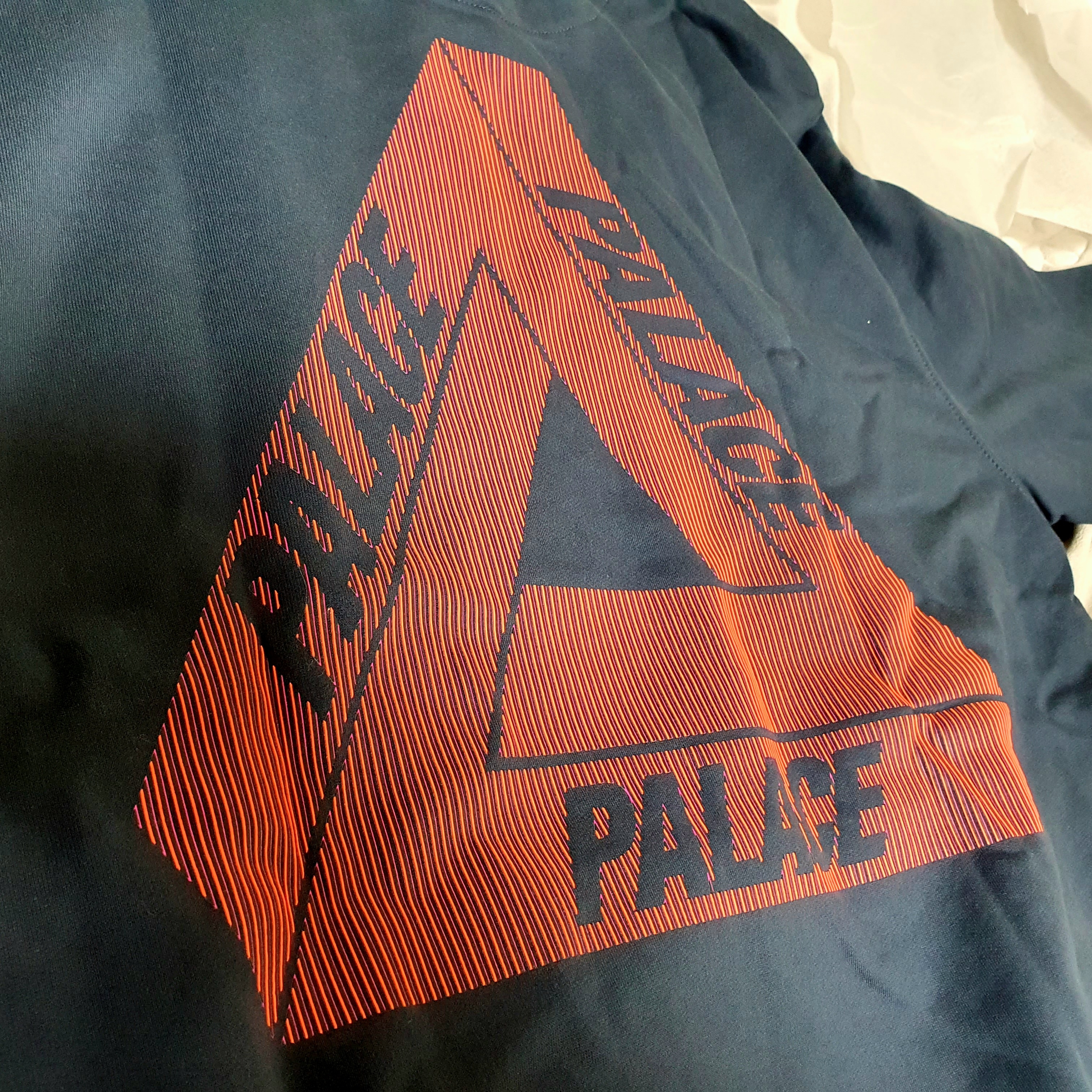 Palace Tri-Lenticular Hood Navy - 22FW 착용 스타일 - 2