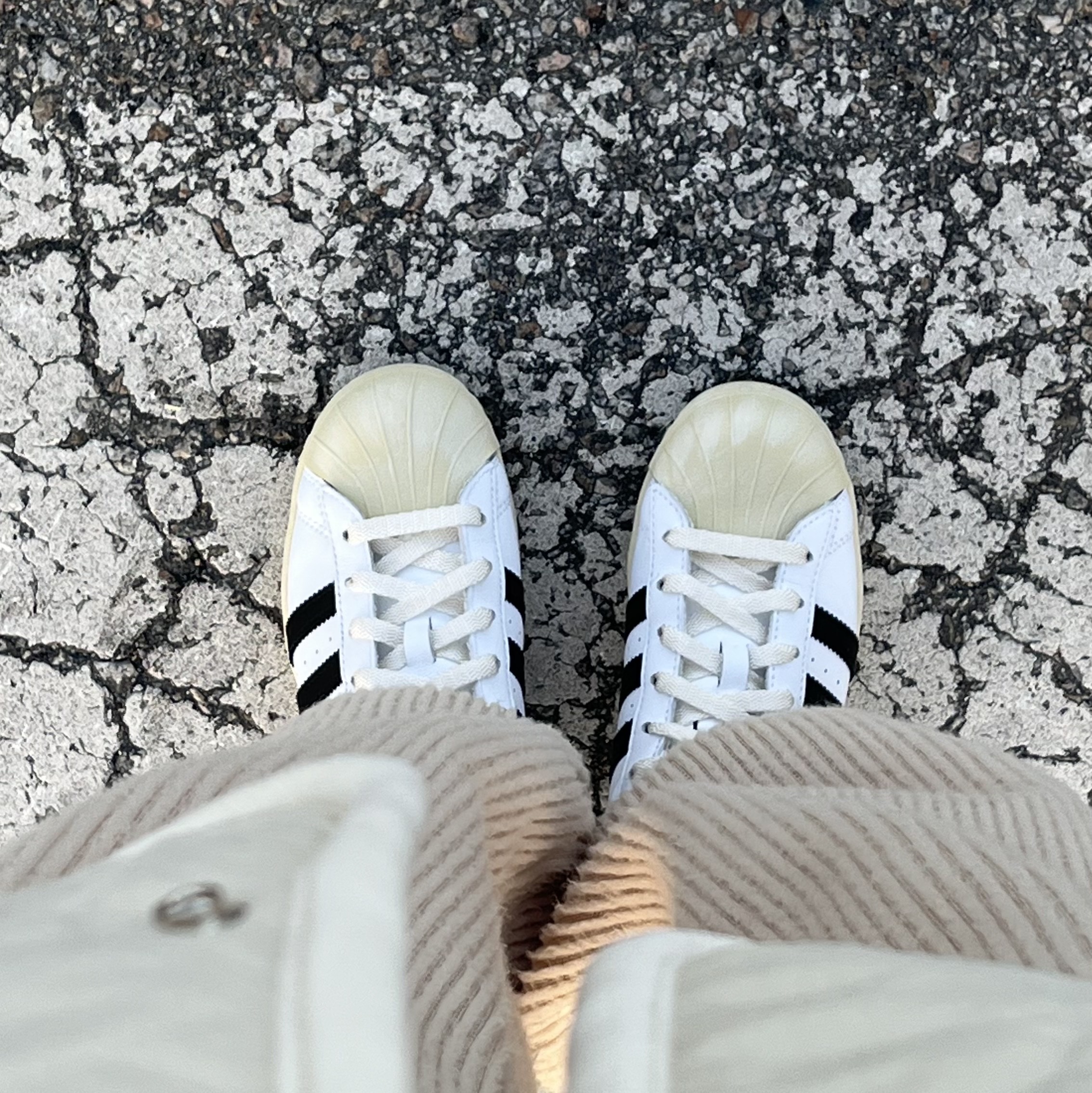 Adidas Superstar Premium White Black 착용 스타일