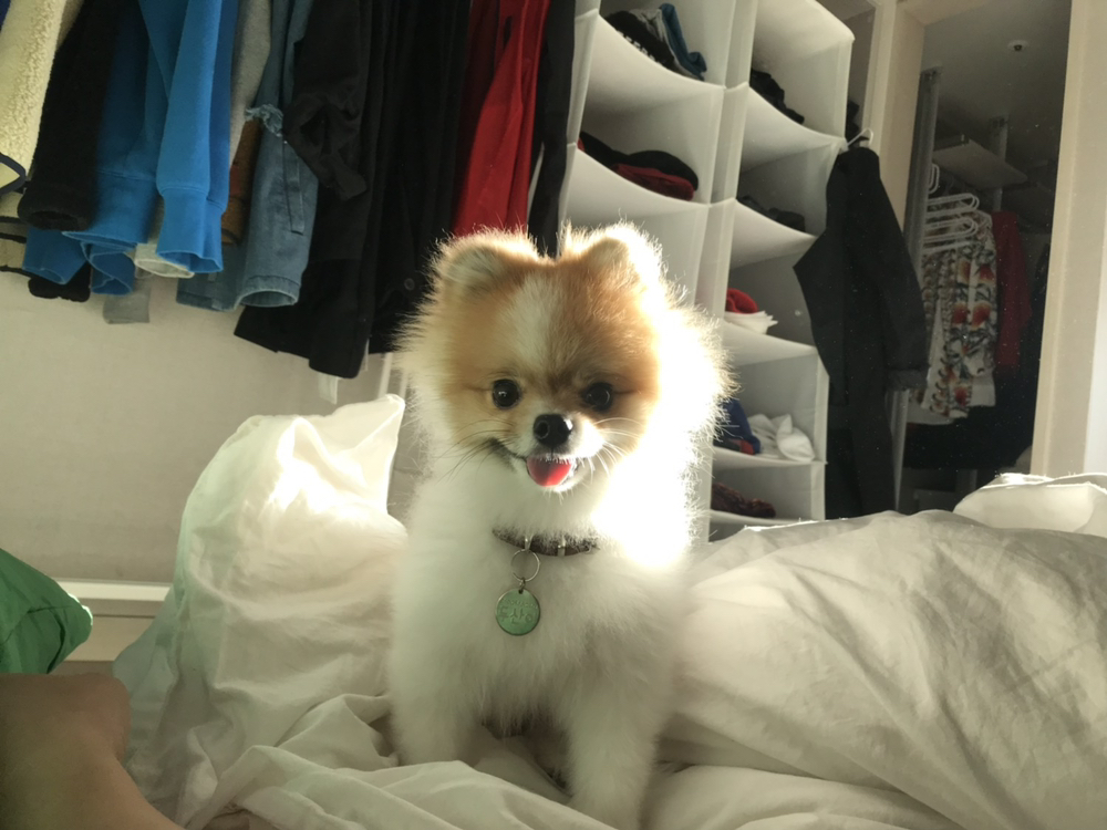KREAM 프로필 이미지
