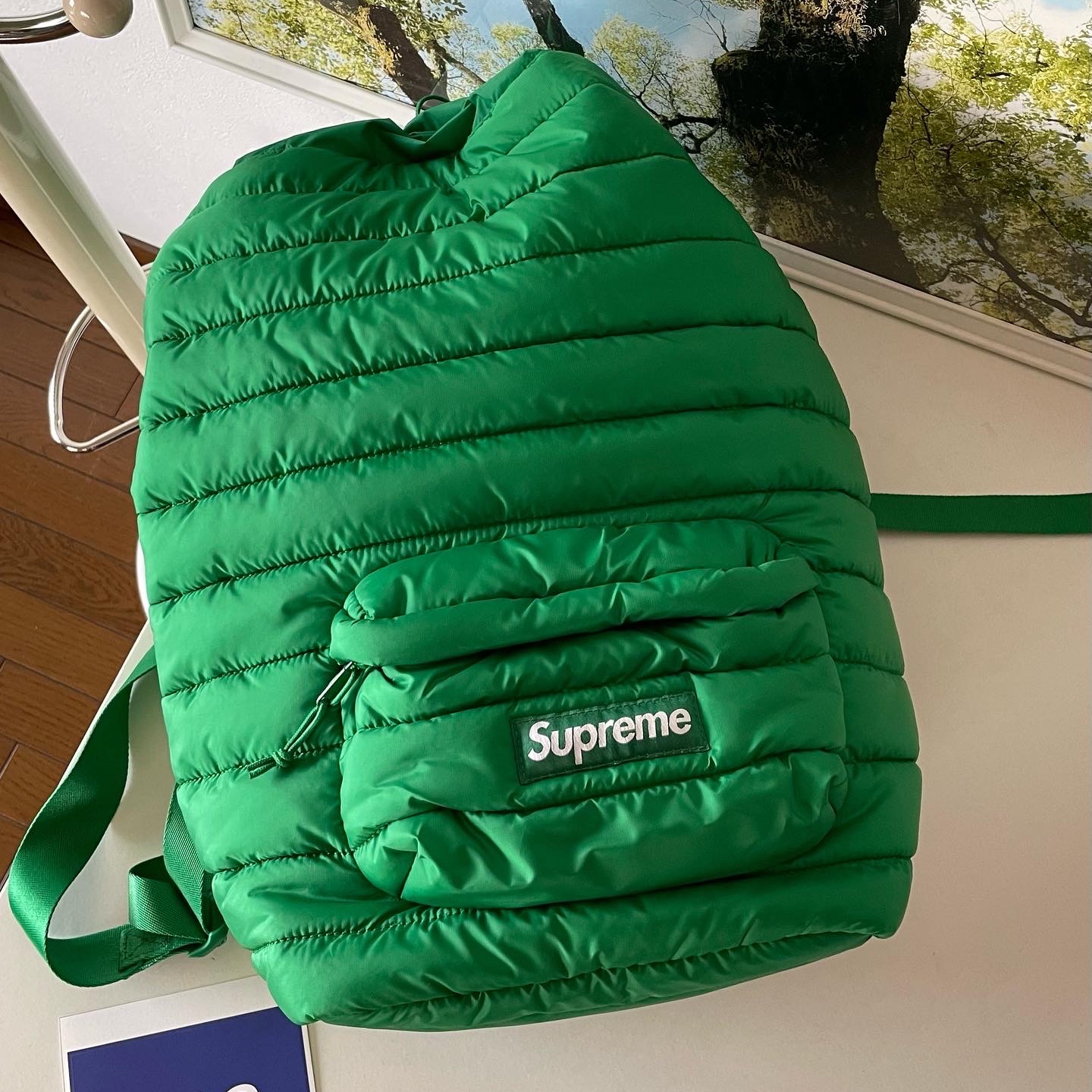 Supreme Puffer Backpack Green - 22FW 착용 스타일 - 1