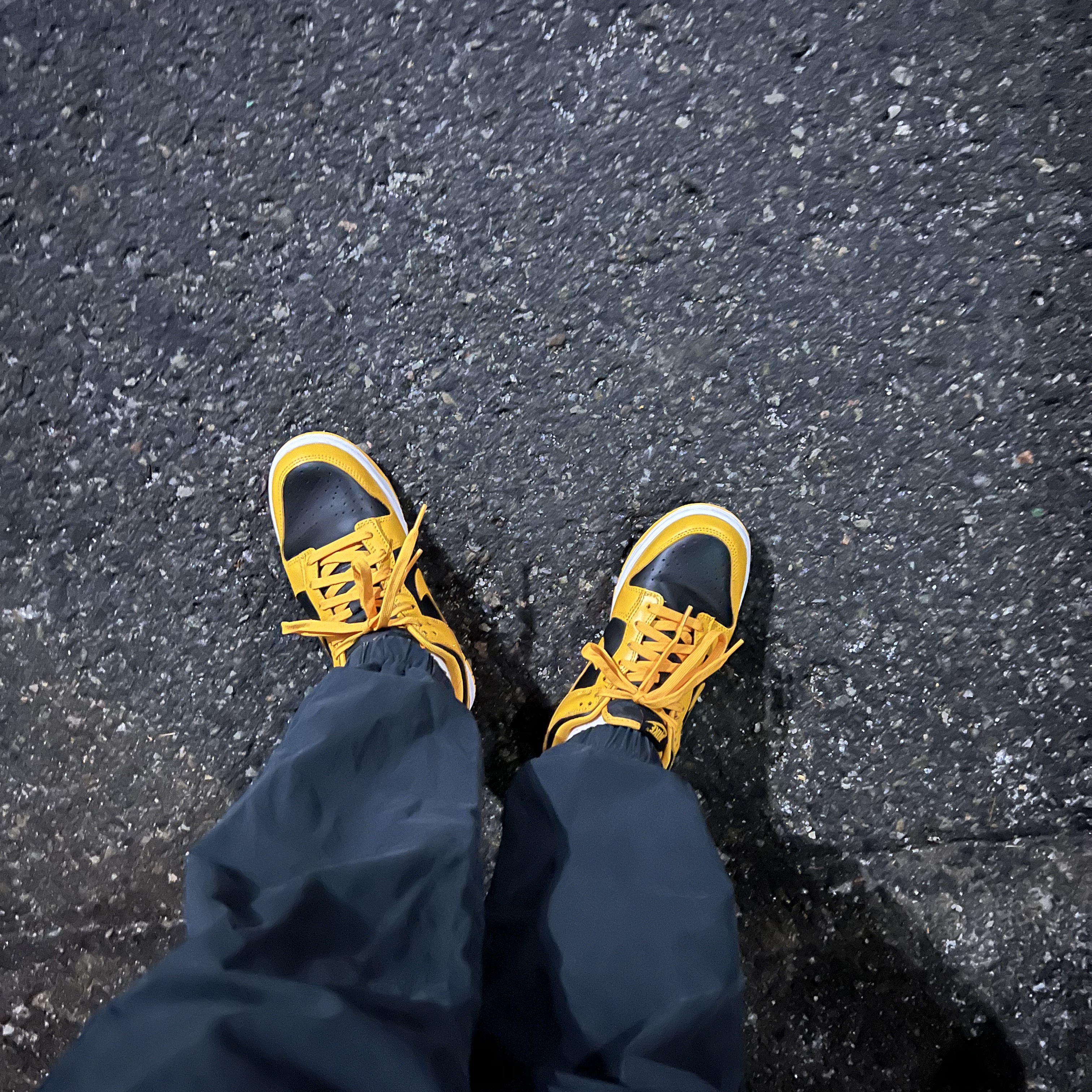 Nike Dunk Low Retro Championship Goldenrod 착용 스타일
