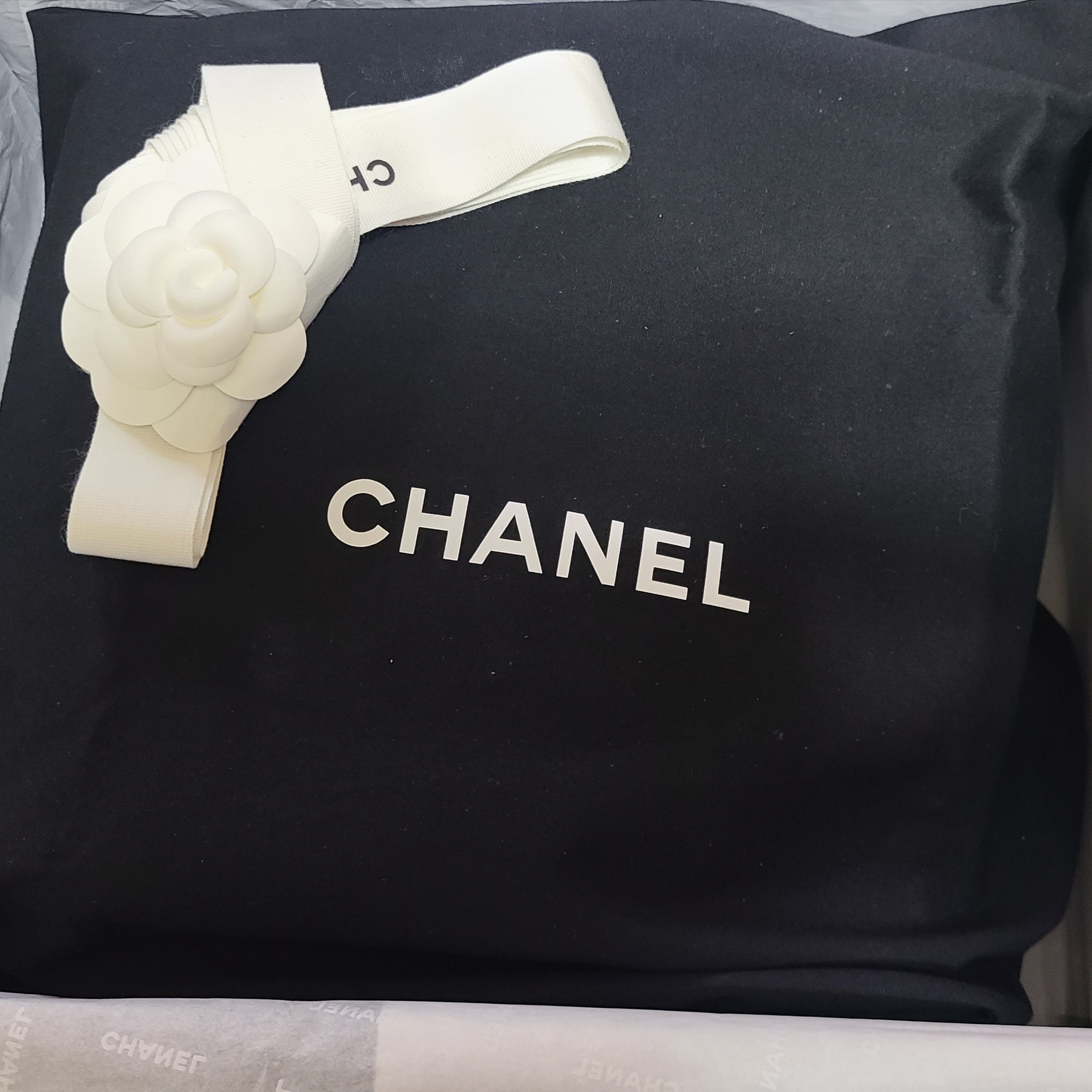 Chanel Small Gabrielle Backpack Aged Calfskin & Gold Silver Black 착용 스타일 - 1