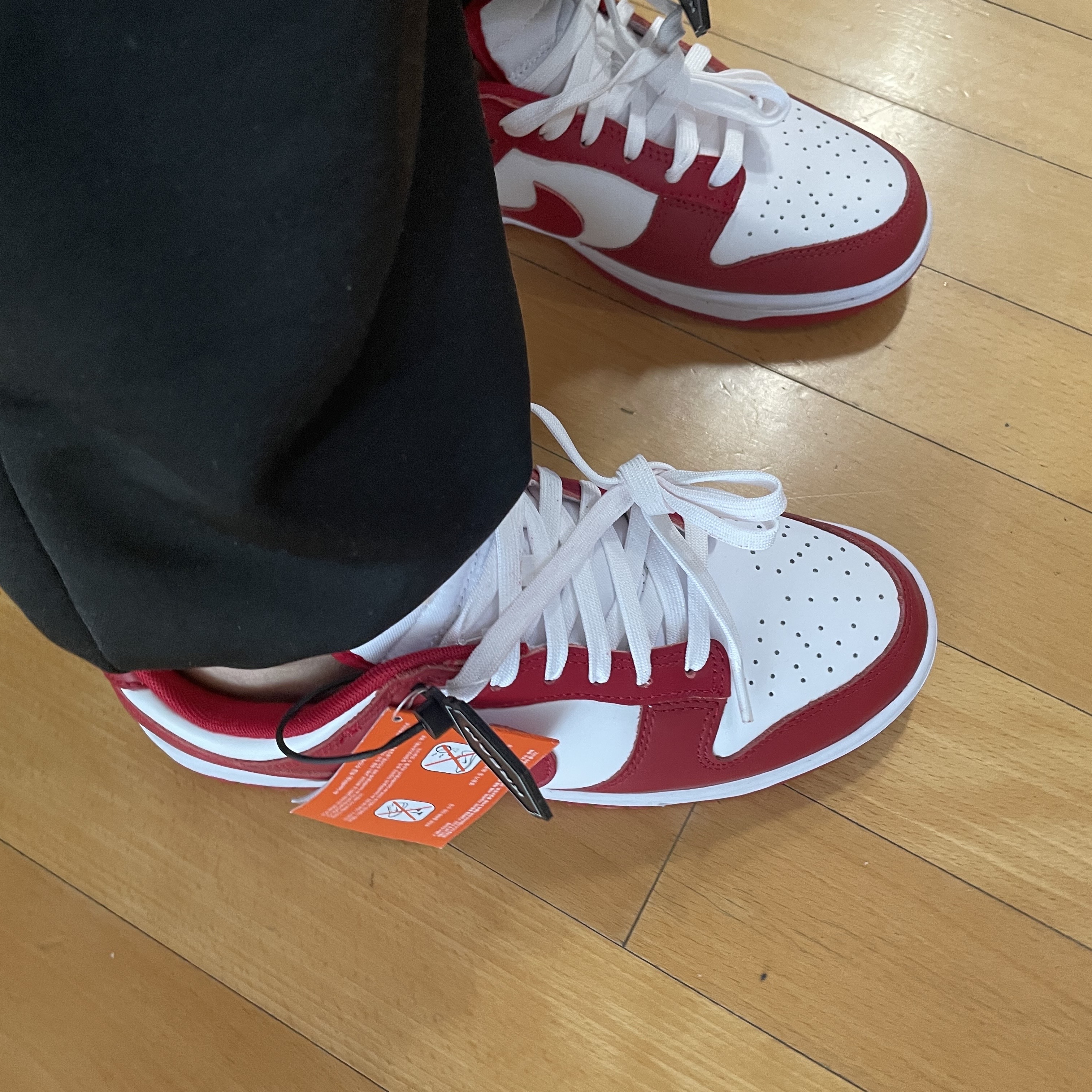 Nike Dunk Low Retro Gym Red 착용 스타일