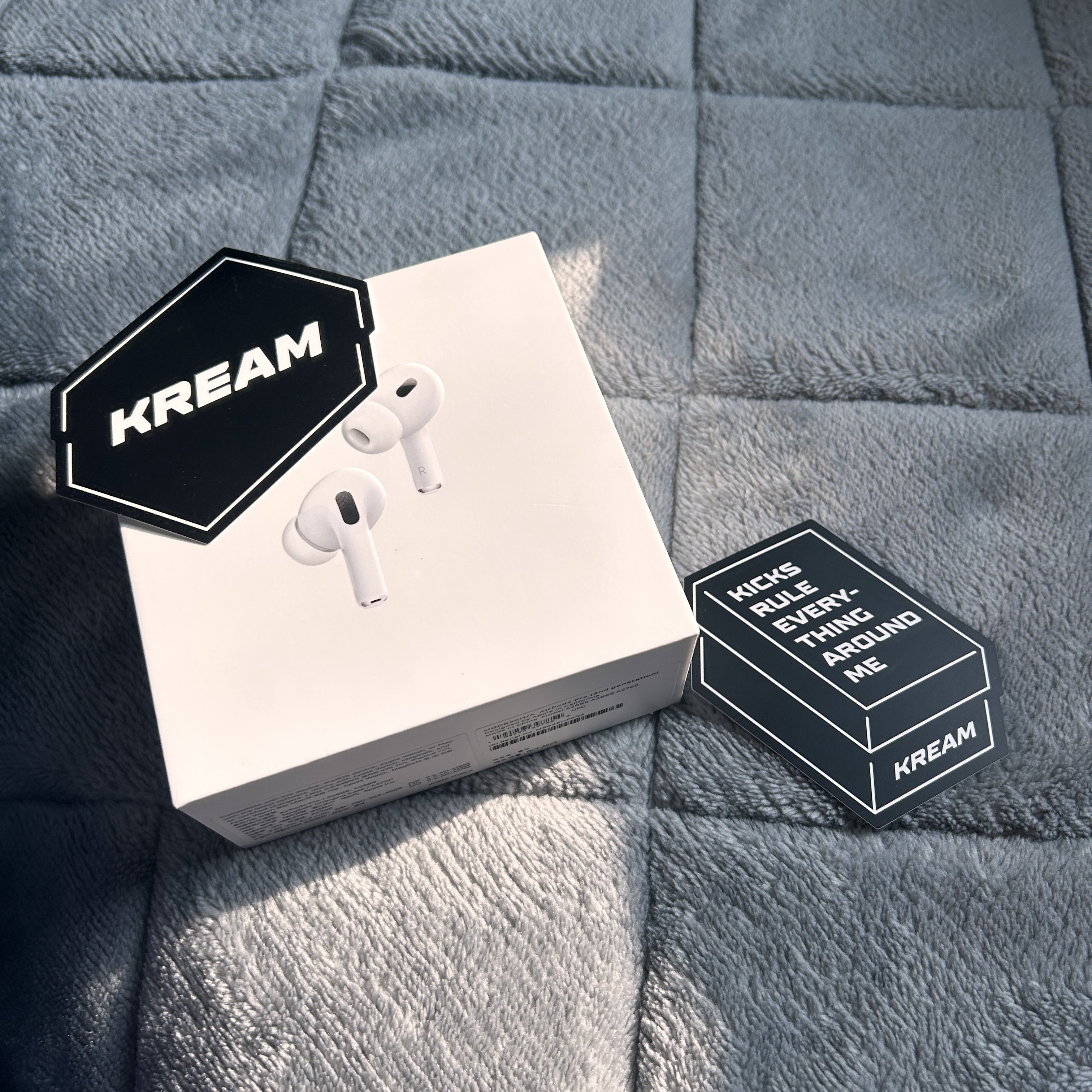 Apple AirPods Pro 2nd Gen (Korean Ver.) 착용 스타일
