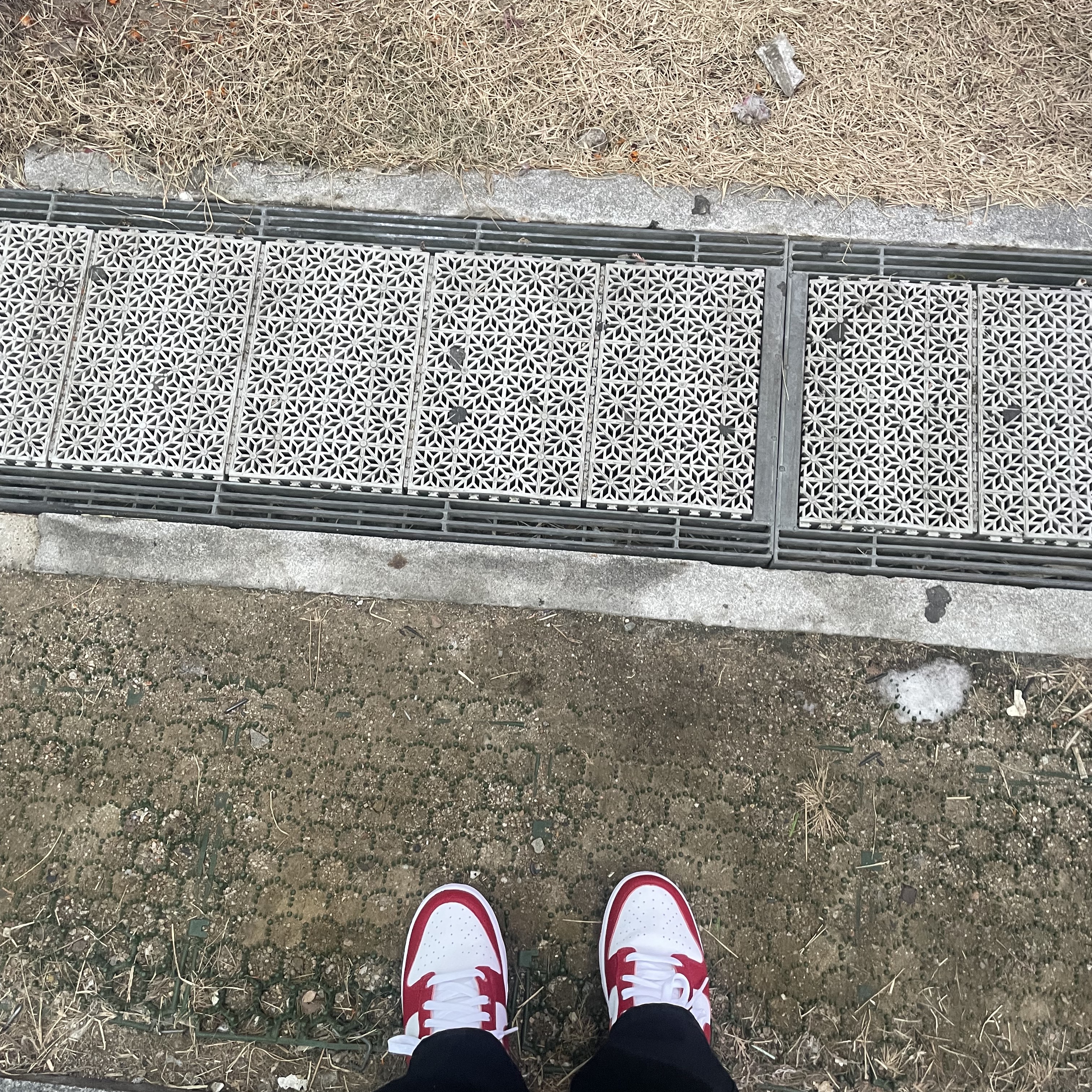 Nike Dunk Low Retro Gym Red 착용 스타일