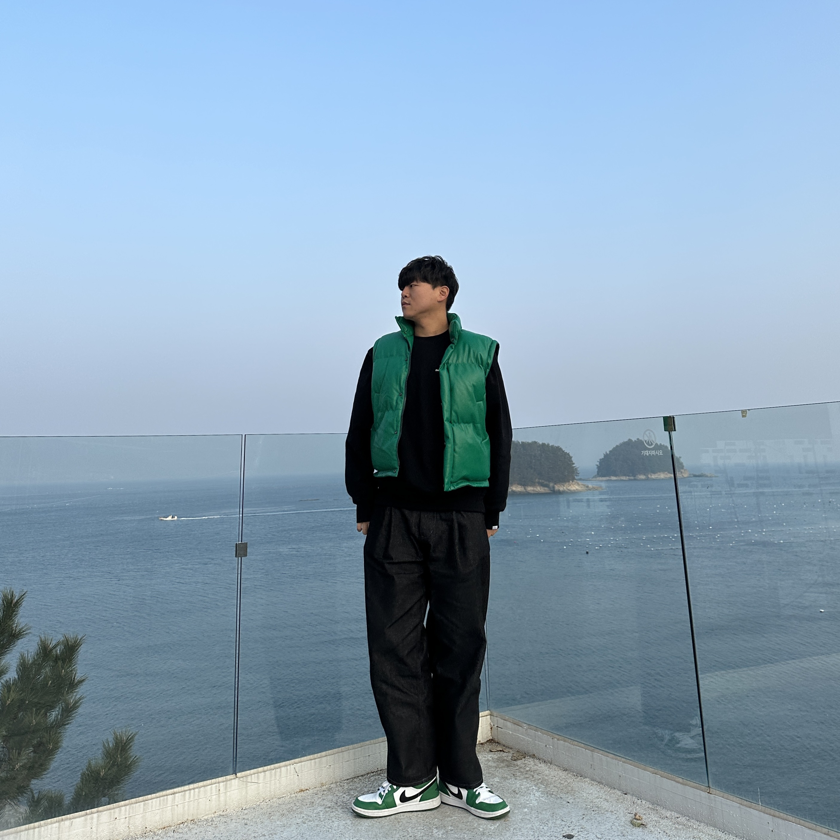 Jordan 1 Low Pine Green 착용 스타일