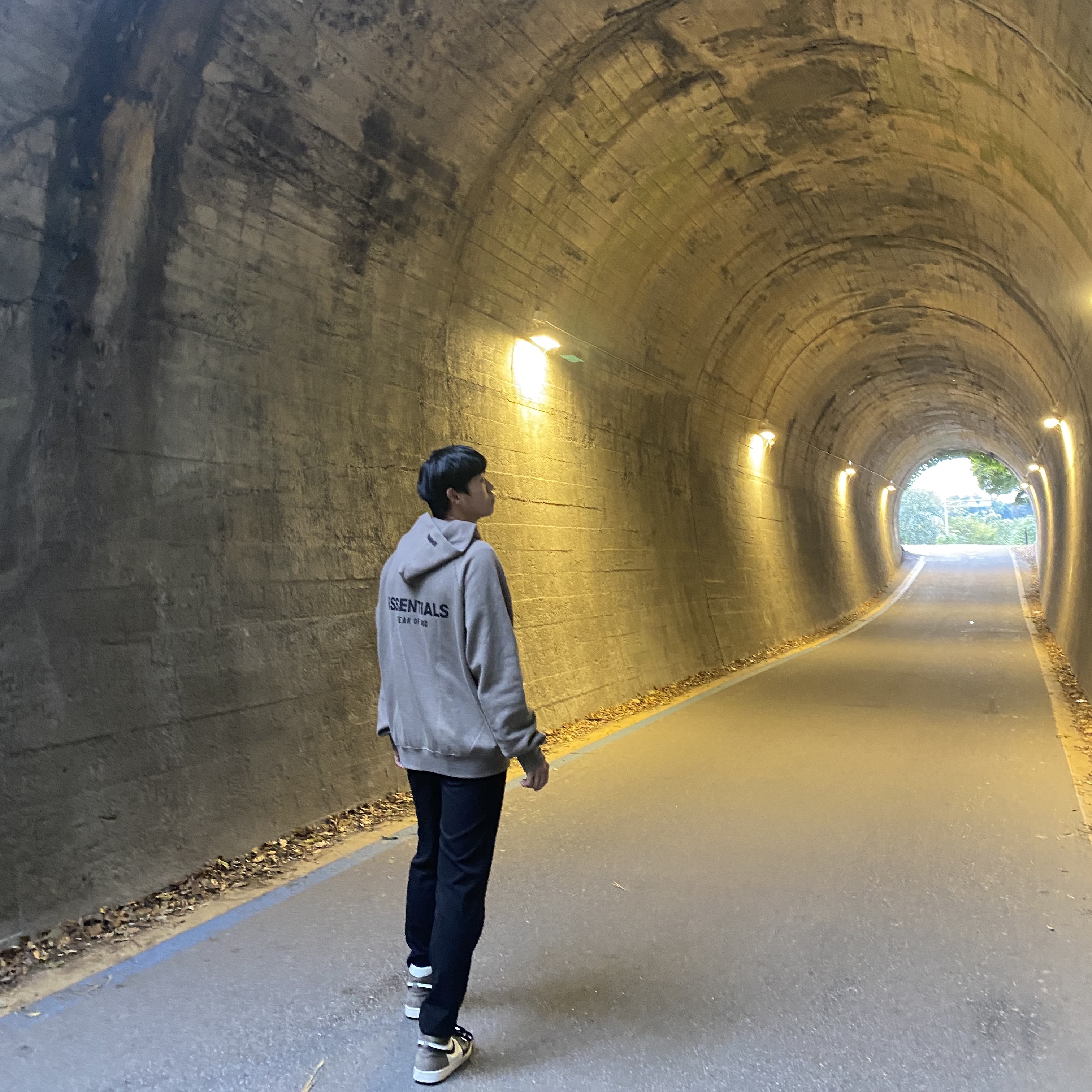 Essentials Pull-Over Hoodie Taupe - 21SS, Jordan 1 Retro High OG Black Mocha 착용 스타일