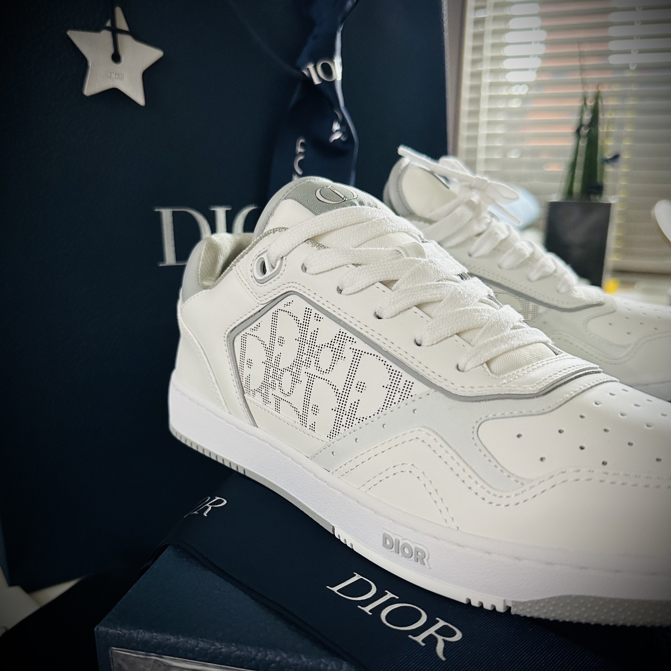 Dior B27 Low-Top Sneakers White Grey 착용 스타일