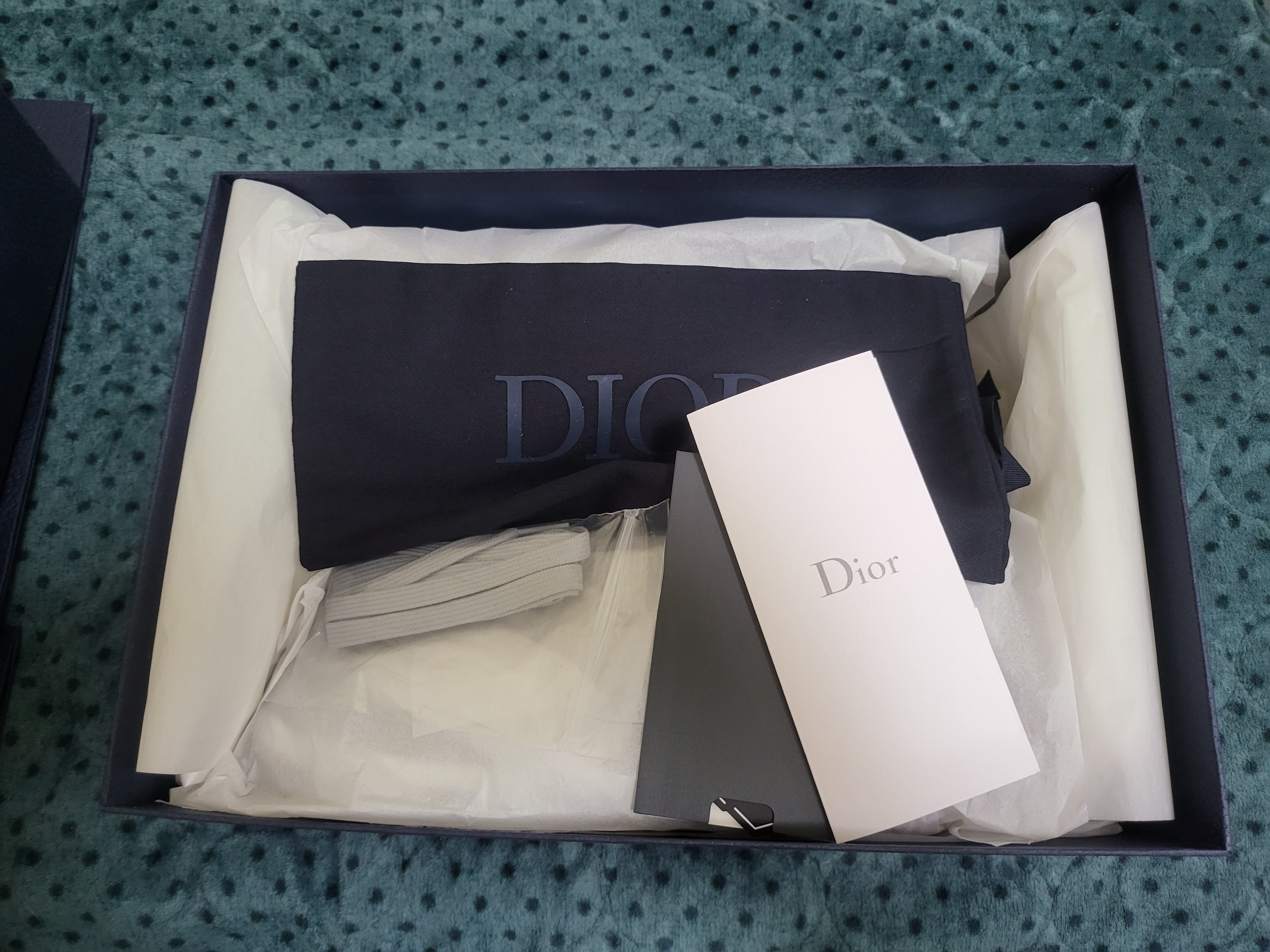 Dior B27 Low-Top Sneakers Gray 착용 스타일 - 2