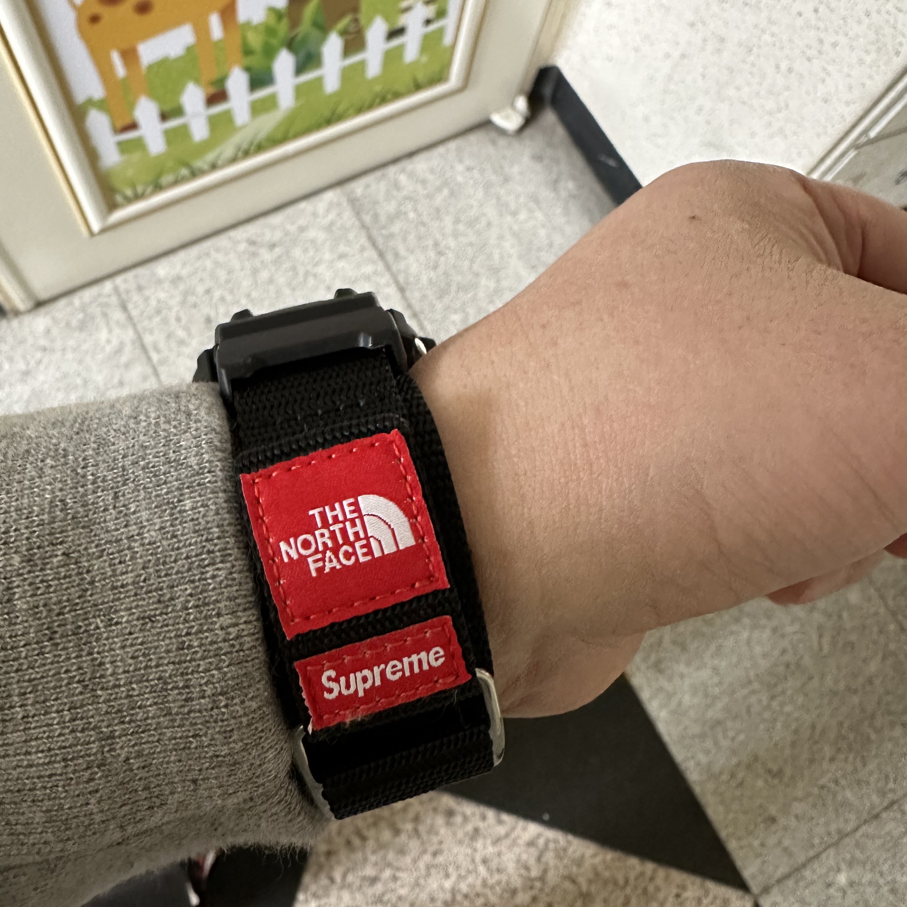 Casio G-Shock x Supreme x The North Face DW-6900 Black 착용 스타일 - 2