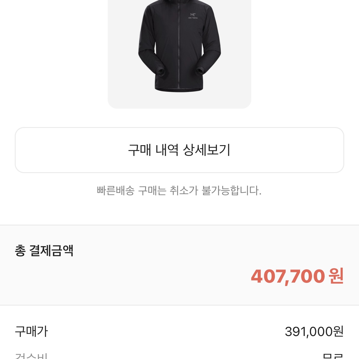 Arc'teryx Atom LT Hoody Black 착용 스타일