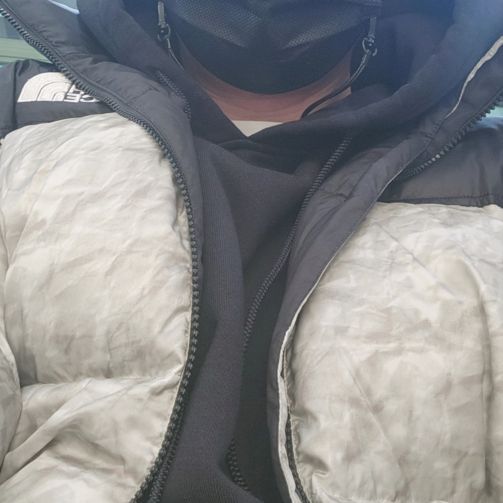 Supreme x The North Face Paper Print Nuptse Jacket - 19FW 착용 스타일