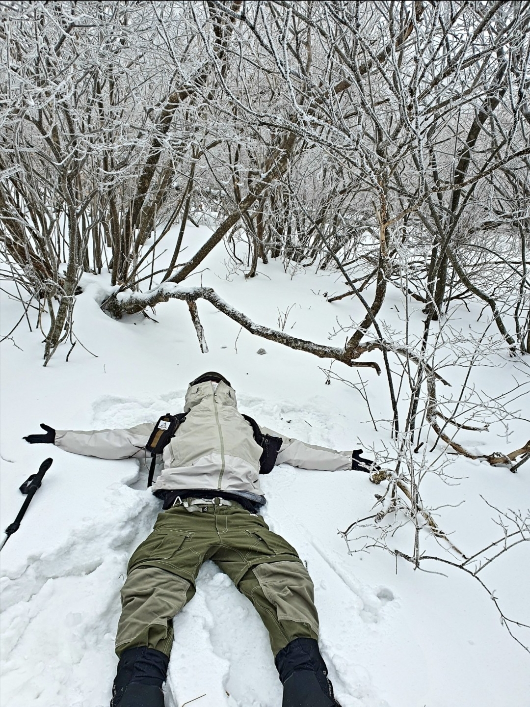 Nike ACG Smith Summit Cargo Pants Medium Olive - Asia, Nike ACG Storm-Fit ADV Chain of Craters Jacket Light Stone - Asia 착용 스타일 - 4
