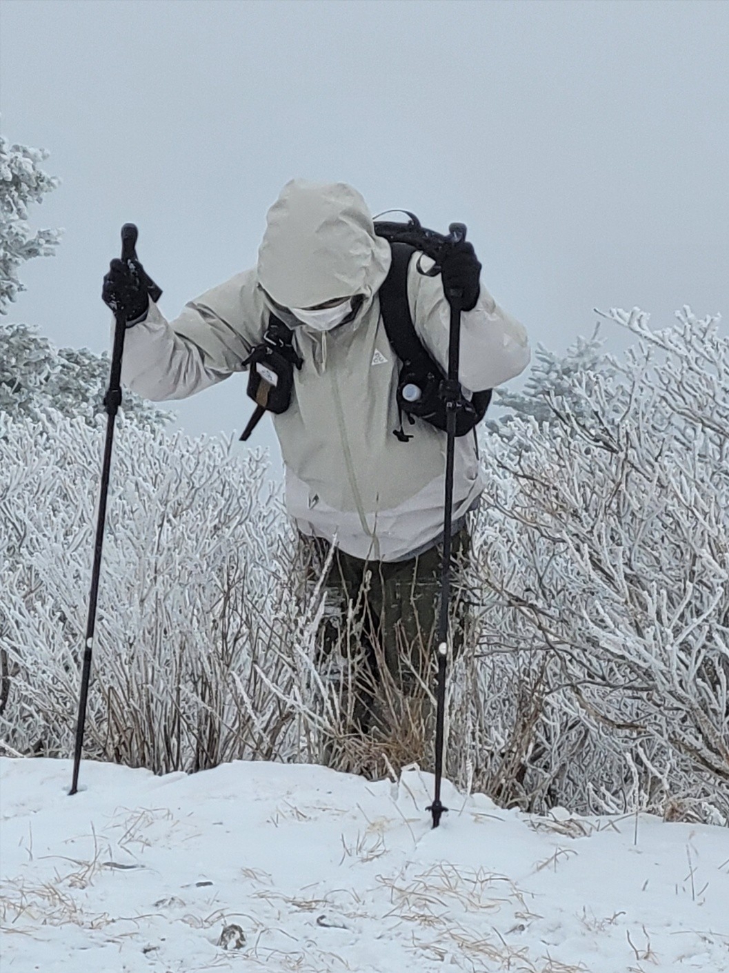 Nike ACG Smith Summit Cargo Pants Medium Olive - Asia, Nike ACG Storm-Fit ADV Chain of Craters Jacket Light Stone - Asia 착용 스타일 - 1