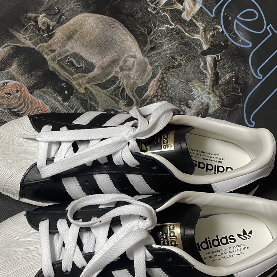 Adidas Superstar 82 FI Core Black 착용 스타일