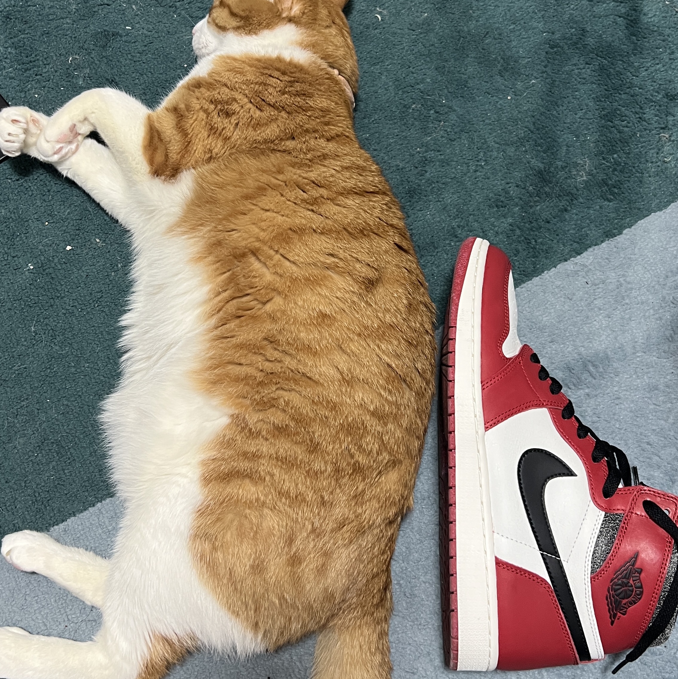Jordan 1 Retro High OG Chicago 2022 착용 스타일 - 3