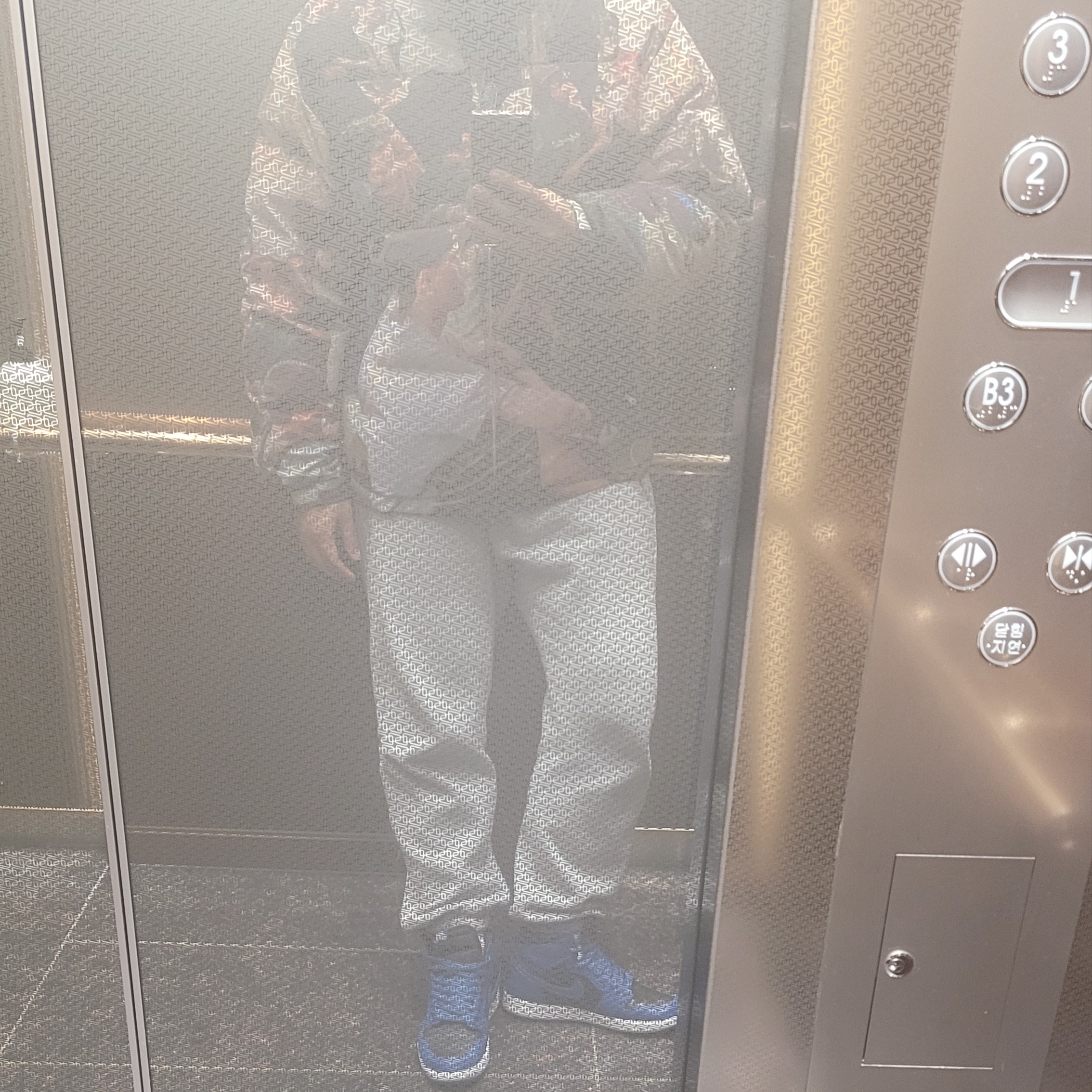 Supreme Lafayette Reflective Down Jacket Multicolor - 21FW 착용 스타일