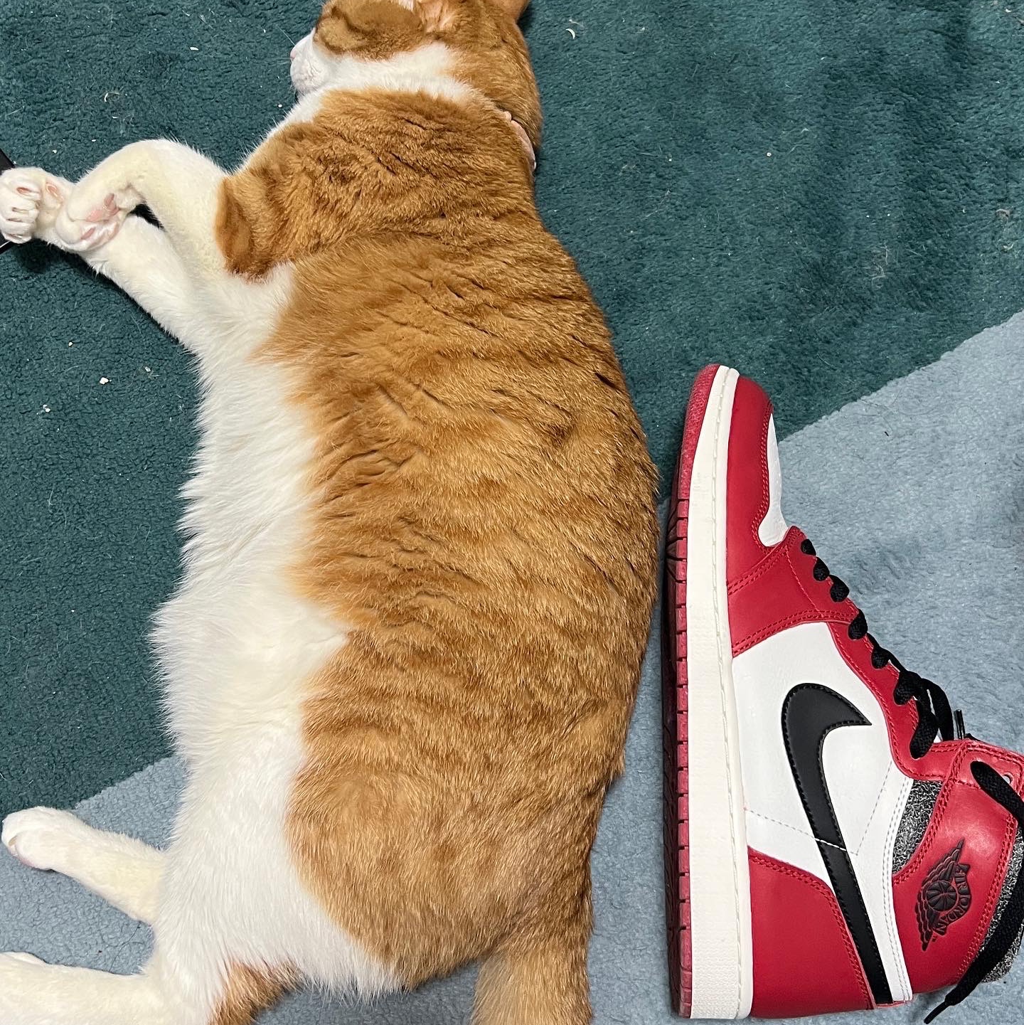 Jordan 1 Retro High OG Chicago 2022 착용 스타일 - 4