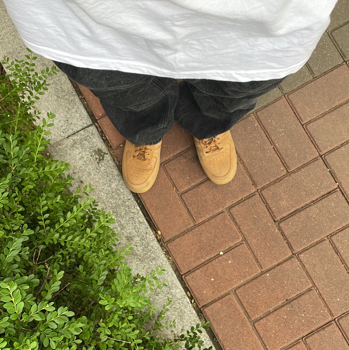 Nike Air Force 1 '07 WB Flax 착용 스타일