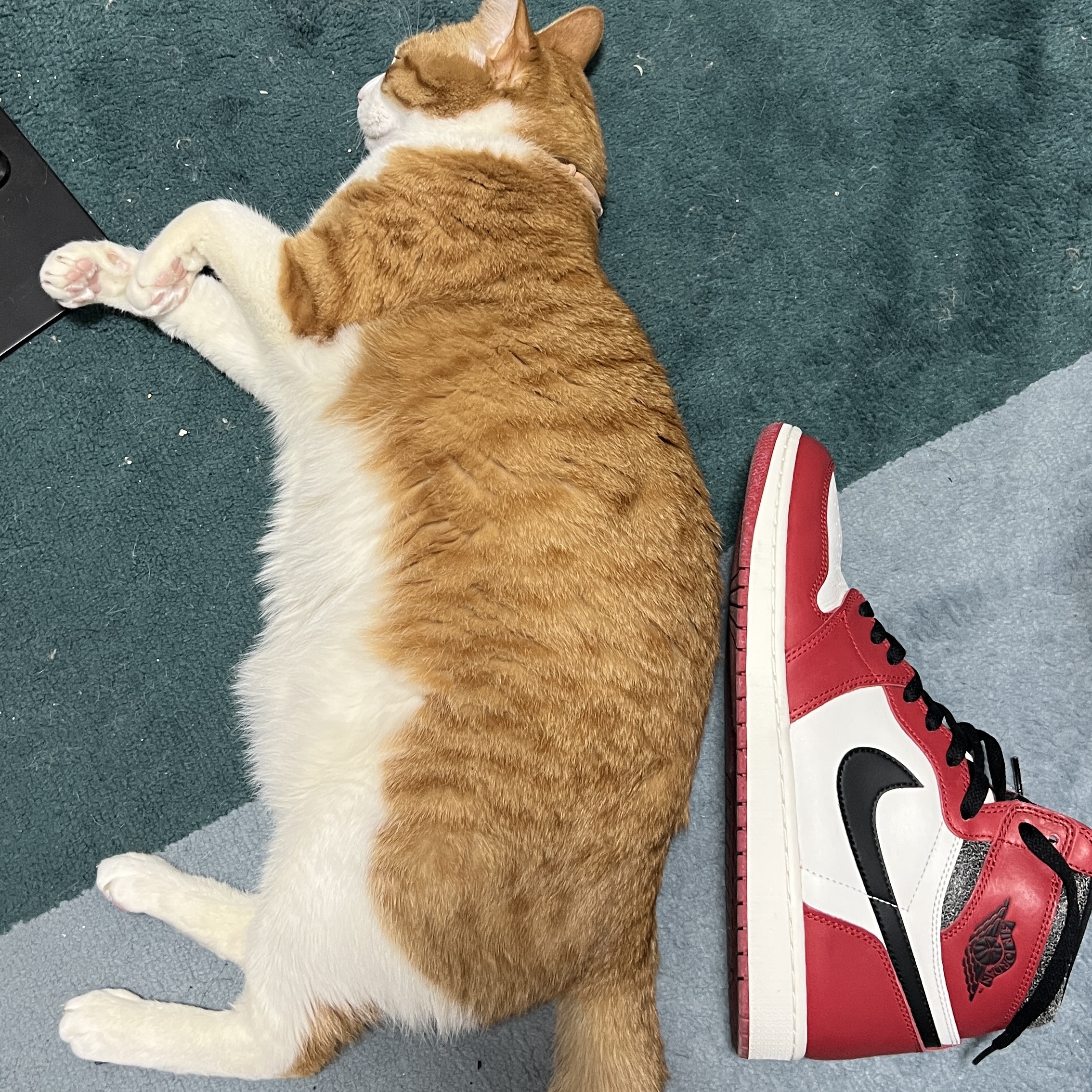 Jordan 1 Retro High OG Chicago 2022 착용 스타일 - 2