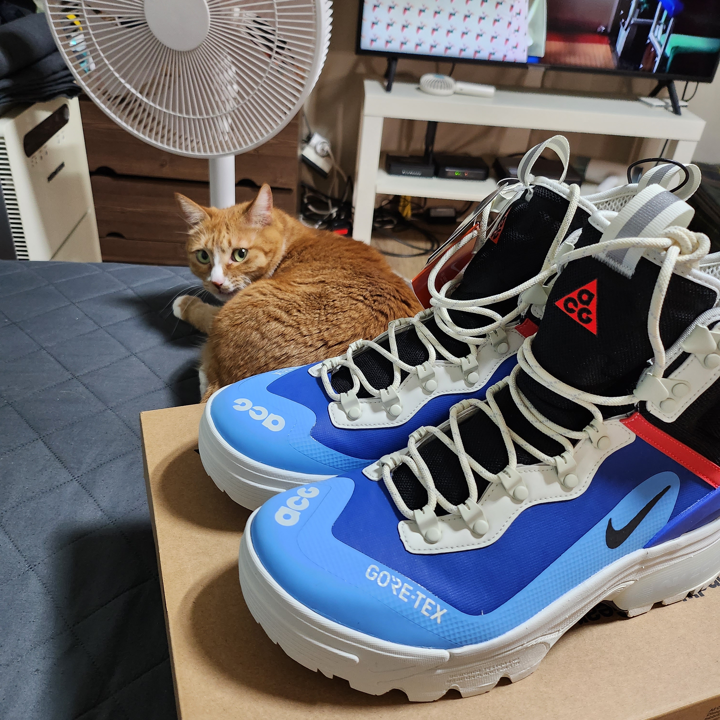 Nike ACG Air Zoom Gaiadome Gore-Tex Hyper Royal 착용 스타일