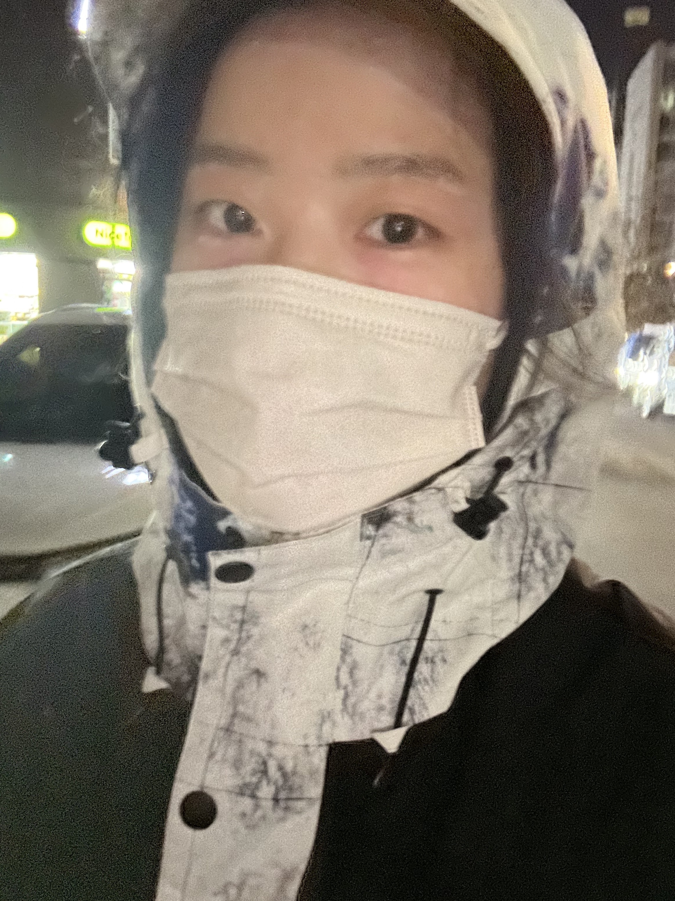 The North Face Novelty Vaiden Jacket White Sand 착용 스타일