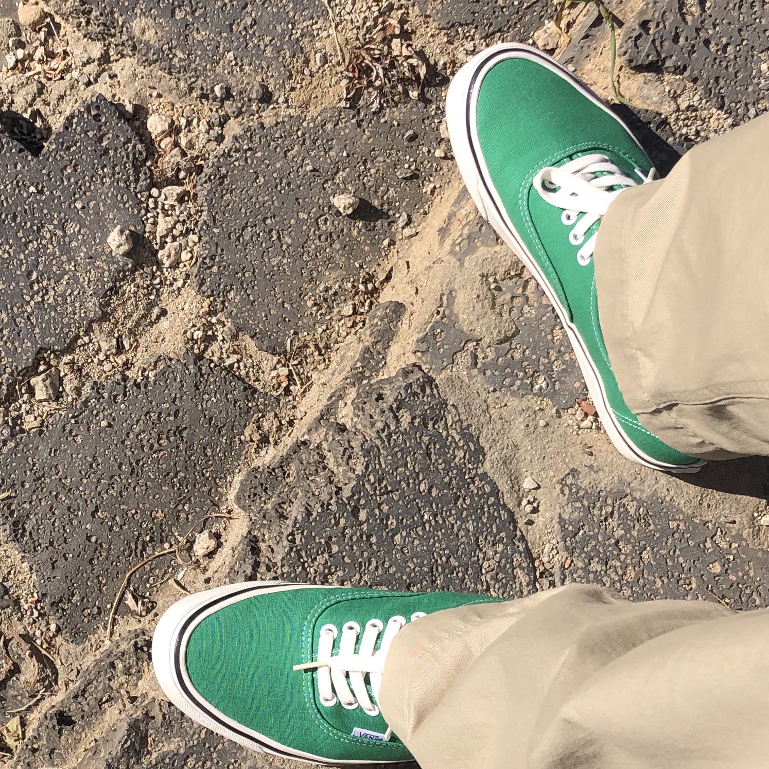 Vans Authentic 44 DX Anaheim Factory Emerald Green 착용 스타일