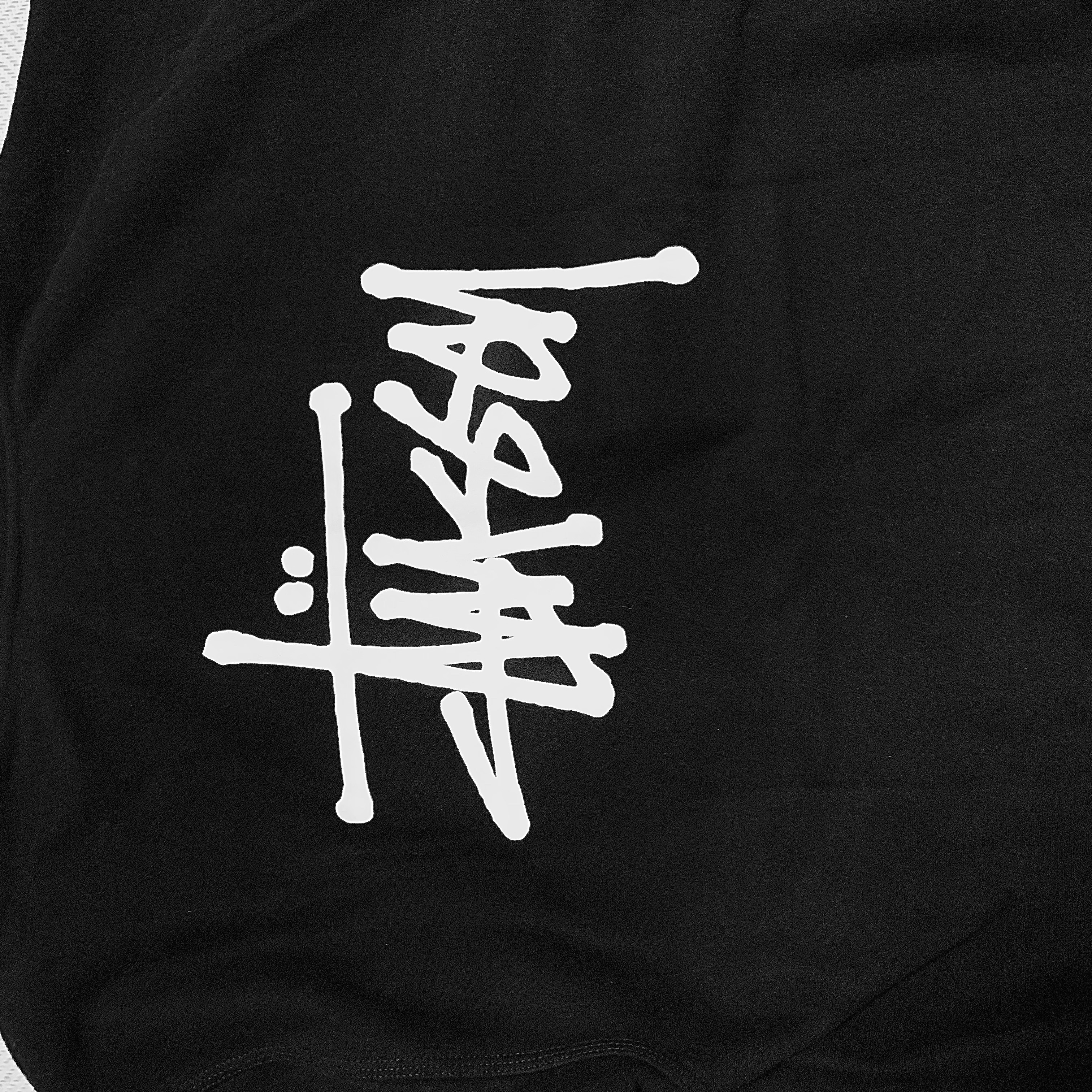 Stussy Basic Stussy Zip Hoodie Black 2022 착용 스타일 - 2