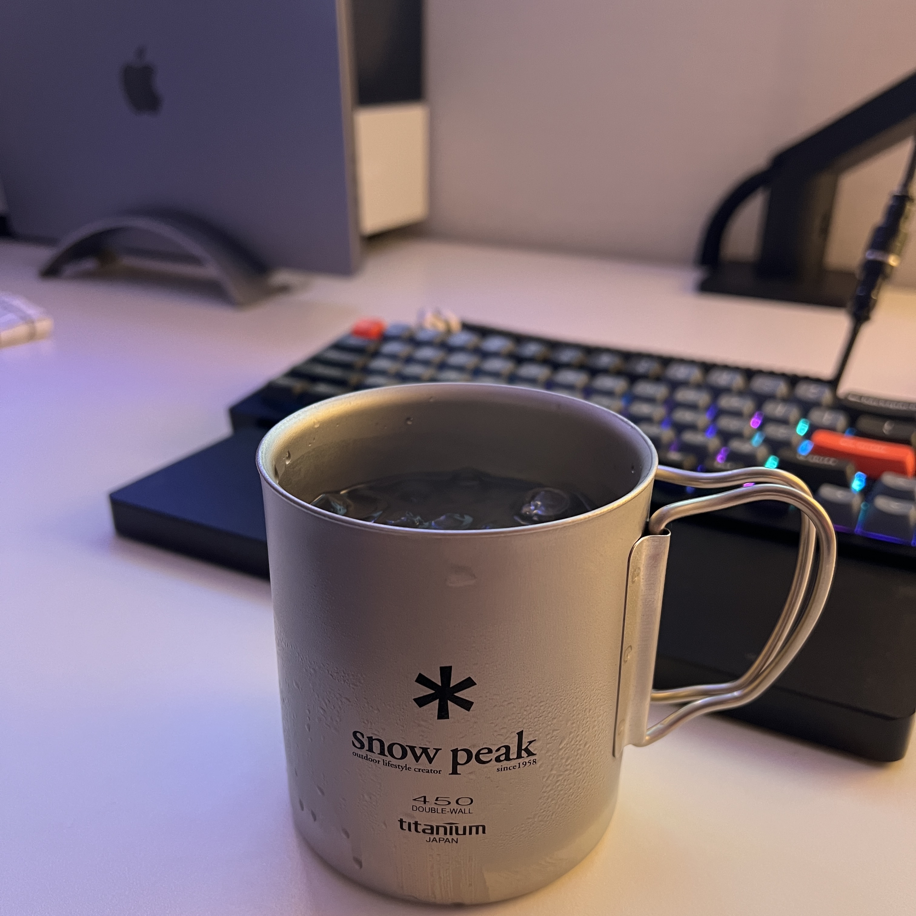 Snow Peak Titanium Double Mug 450(R) 착용 스타일