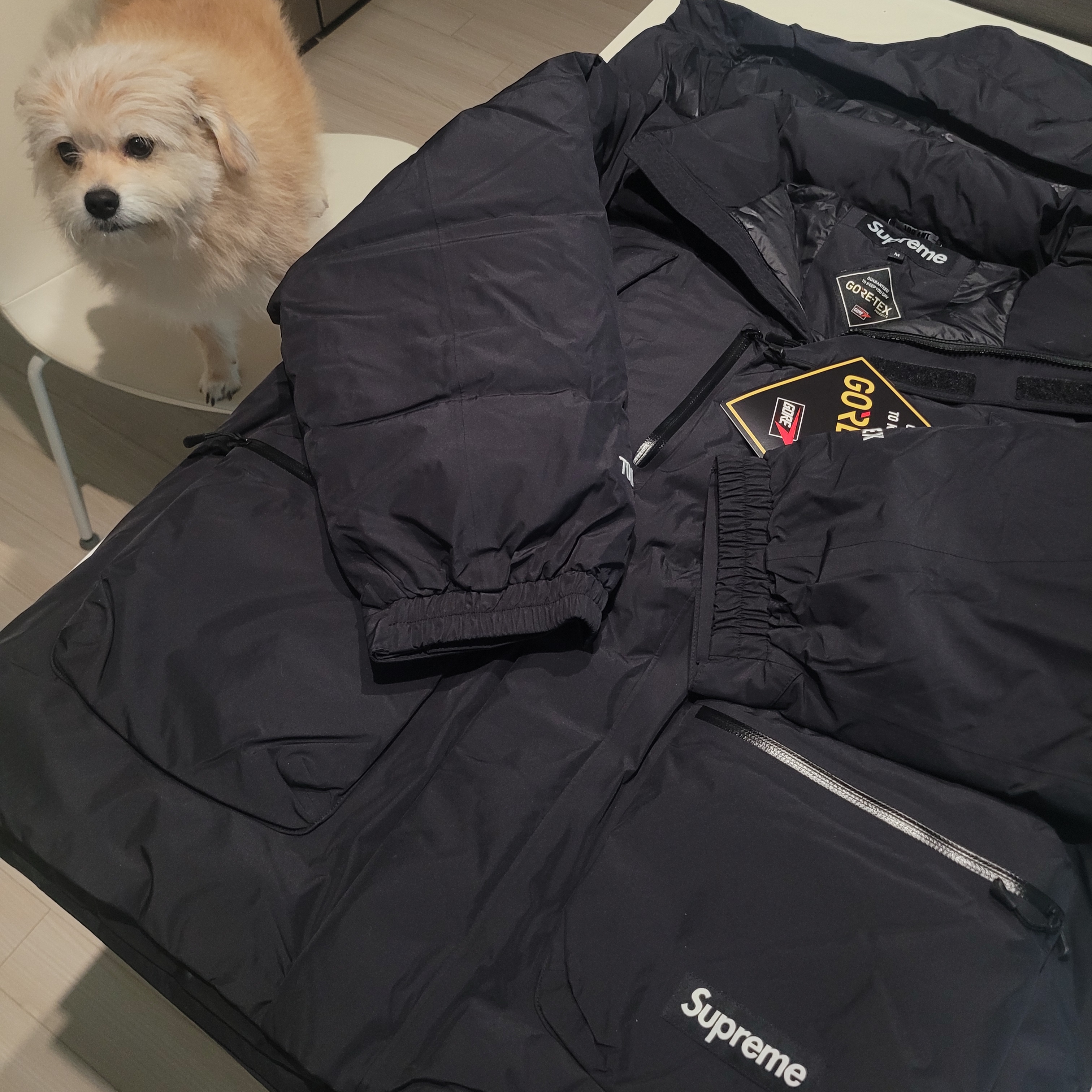 Supreme Gore-Tex 700-Fill Down Parka Black - 22FW 착용 스타일