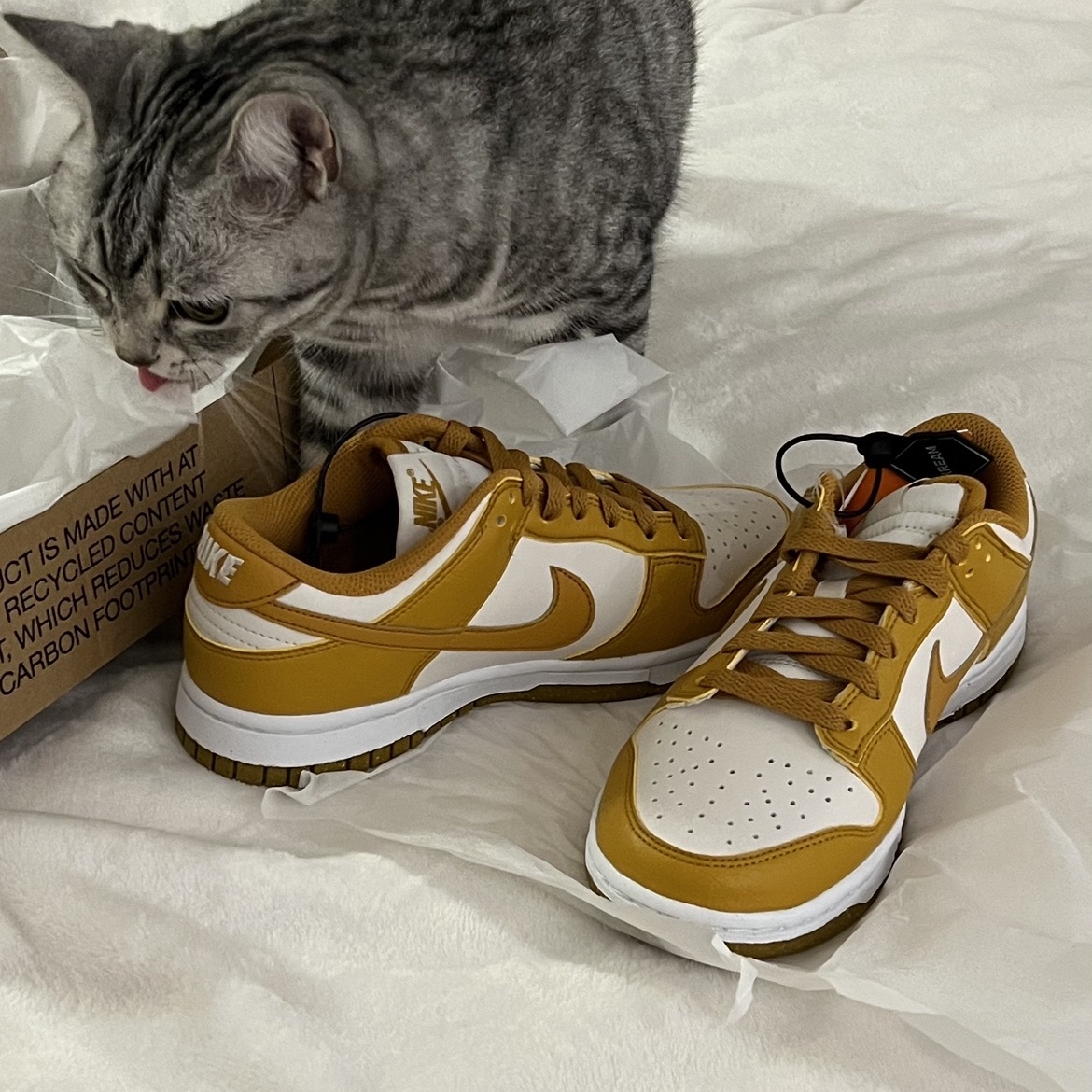(W) Nike Dunk Low Next Nature Phantom 착용 스타일 - 2