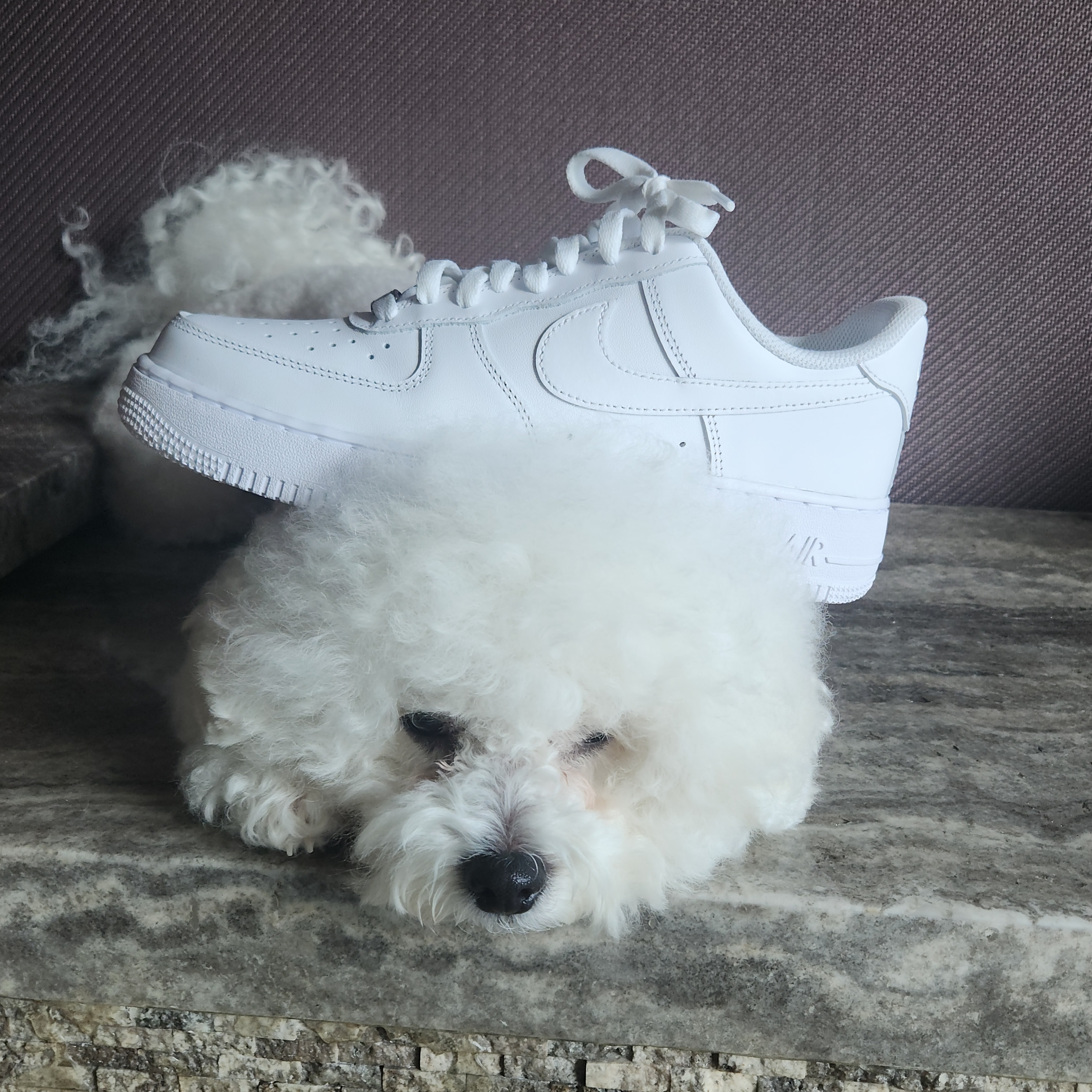 Nike Air Force 1 '07 Low White 착용 스타일 - 1