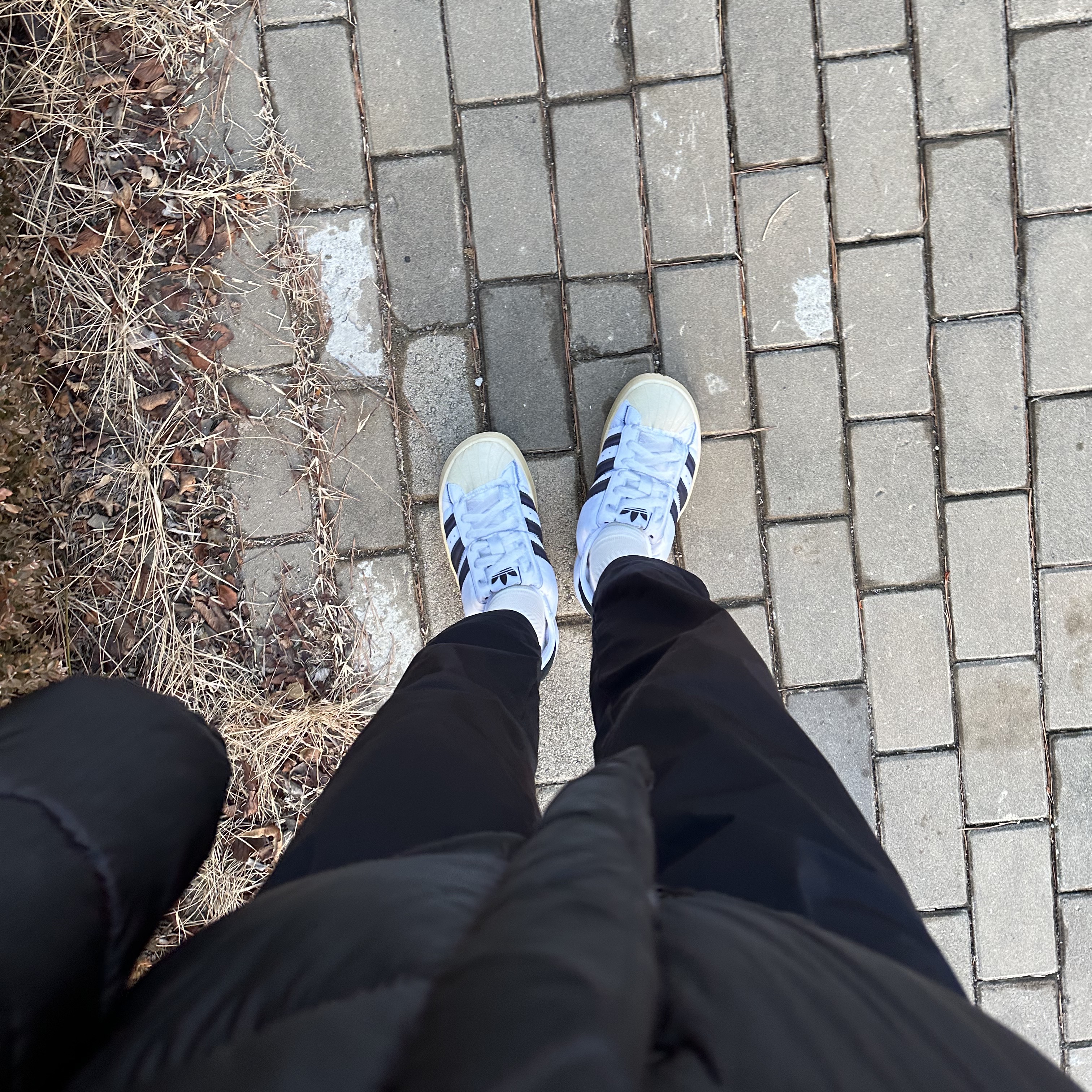 Adidas Puffylette Superstar Cloud White 착용 스타일