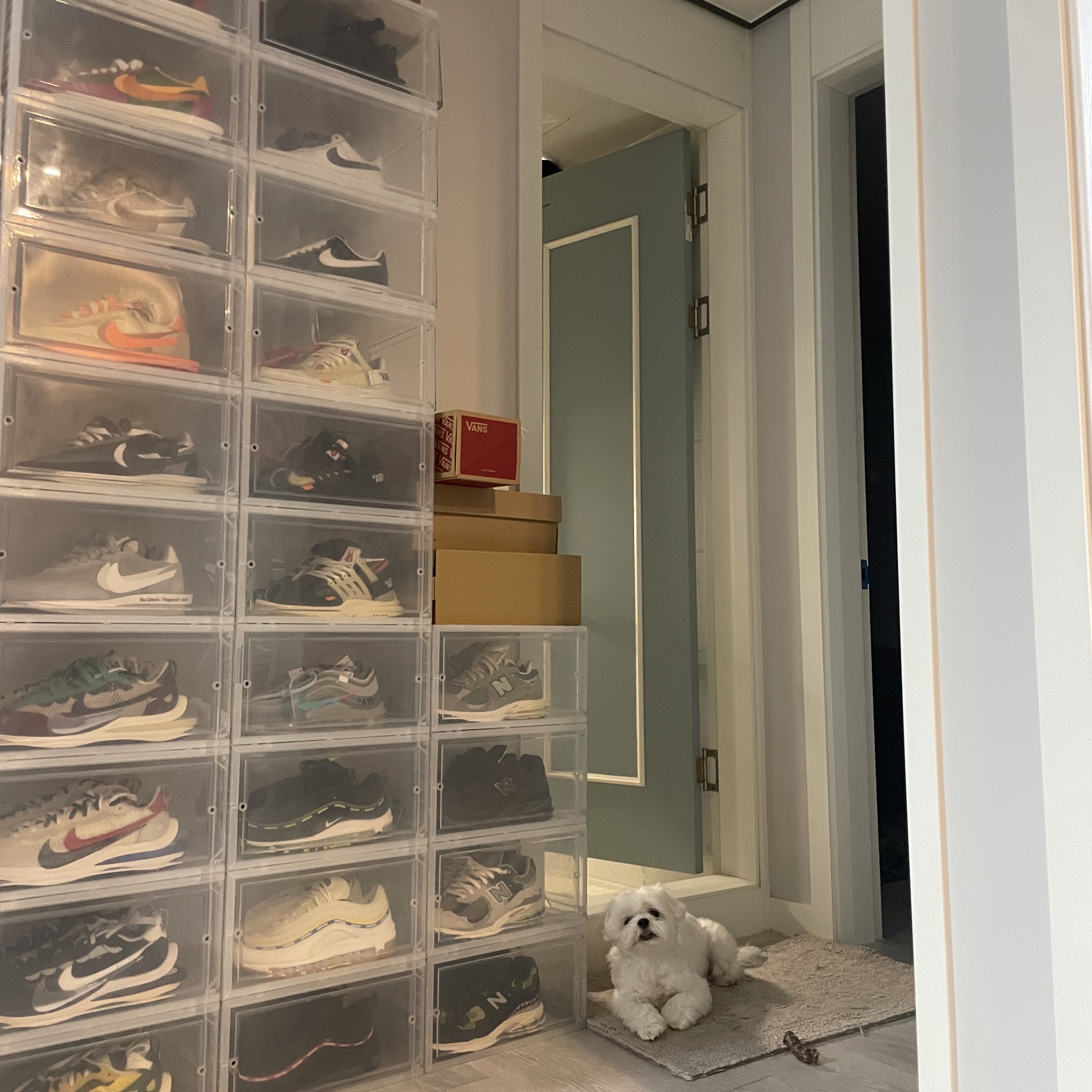Nike x Off-White Air Presto OG The Ten, Nike x Sacai VaporWaffle Black White 착용 스타일