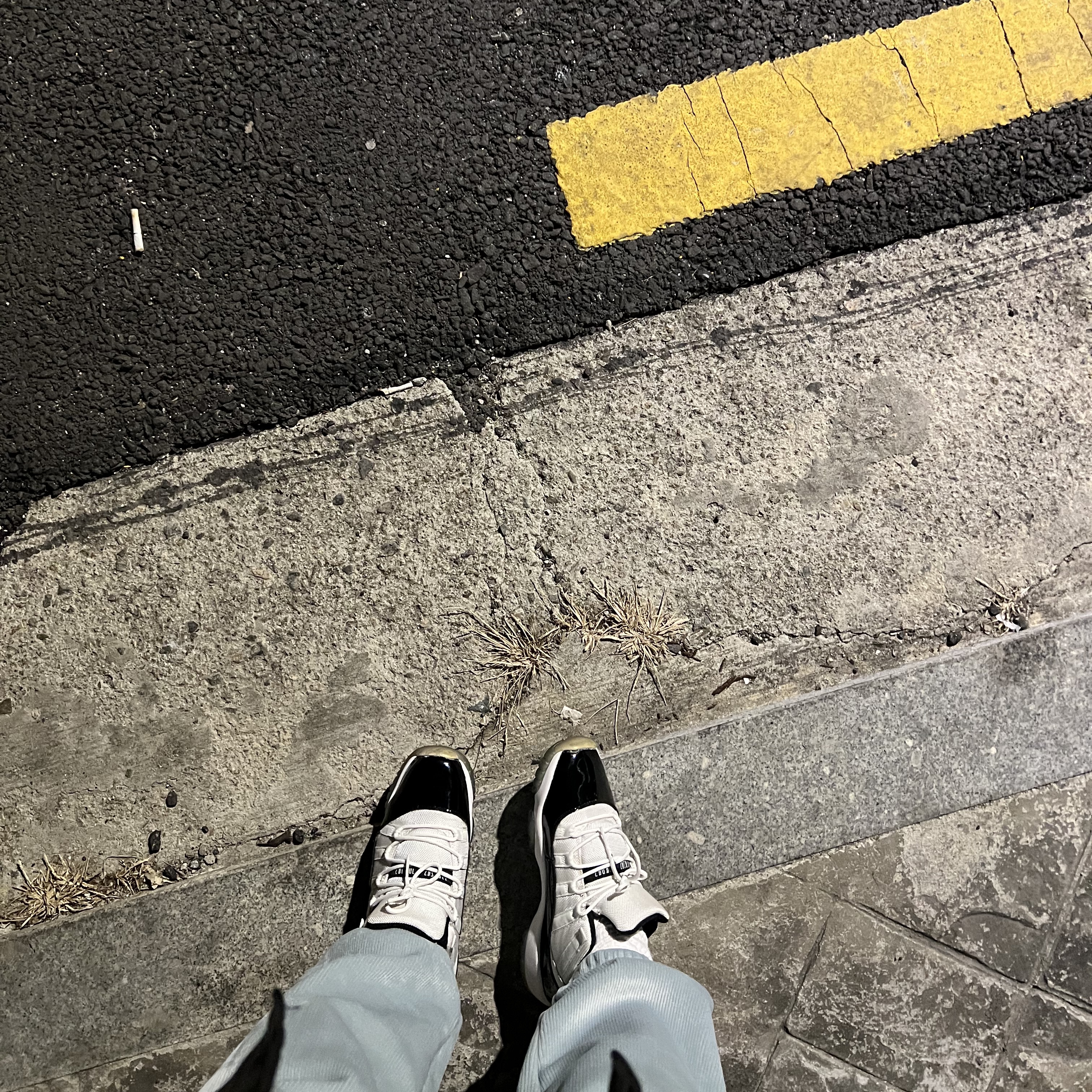 Jordan 11 Retro Low Concord 착용 스타일