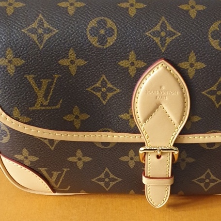 Louis Vuitton Diane Monogram Black 착용 스타일