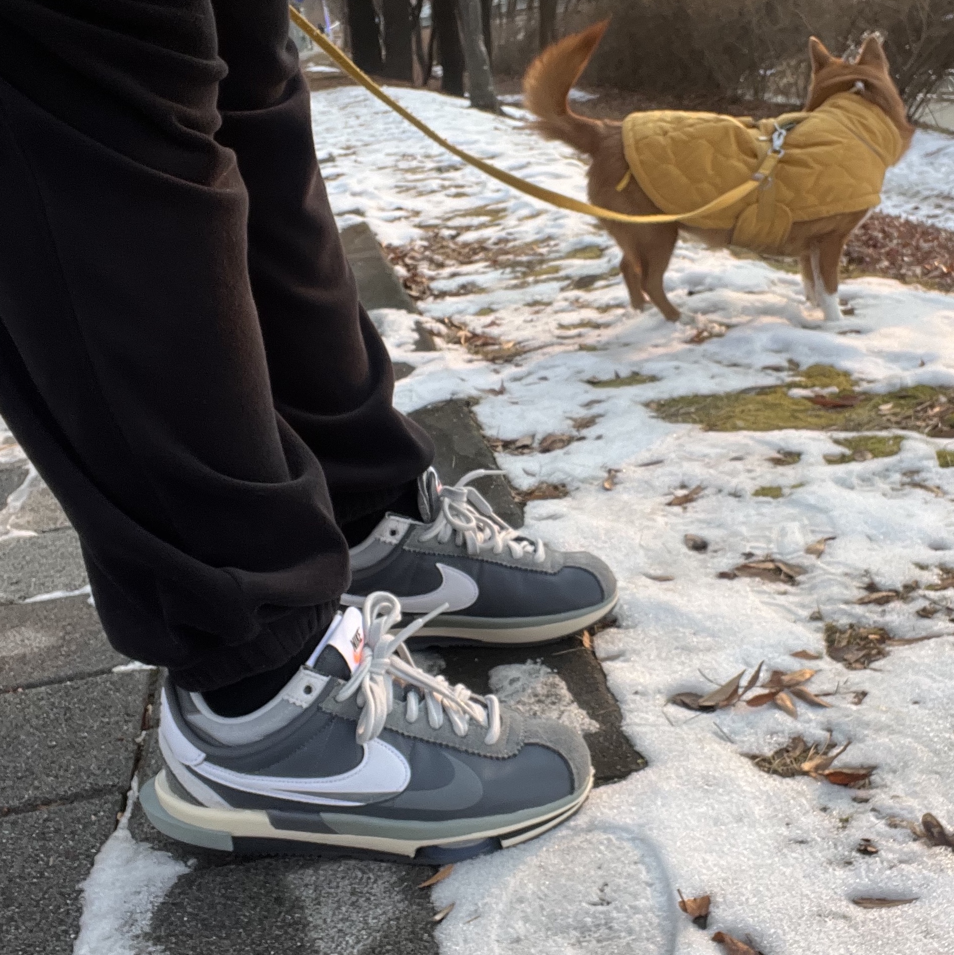 Nike x Sacai Zoom Cortez SP Iron Grey 착용 스타일 - 2