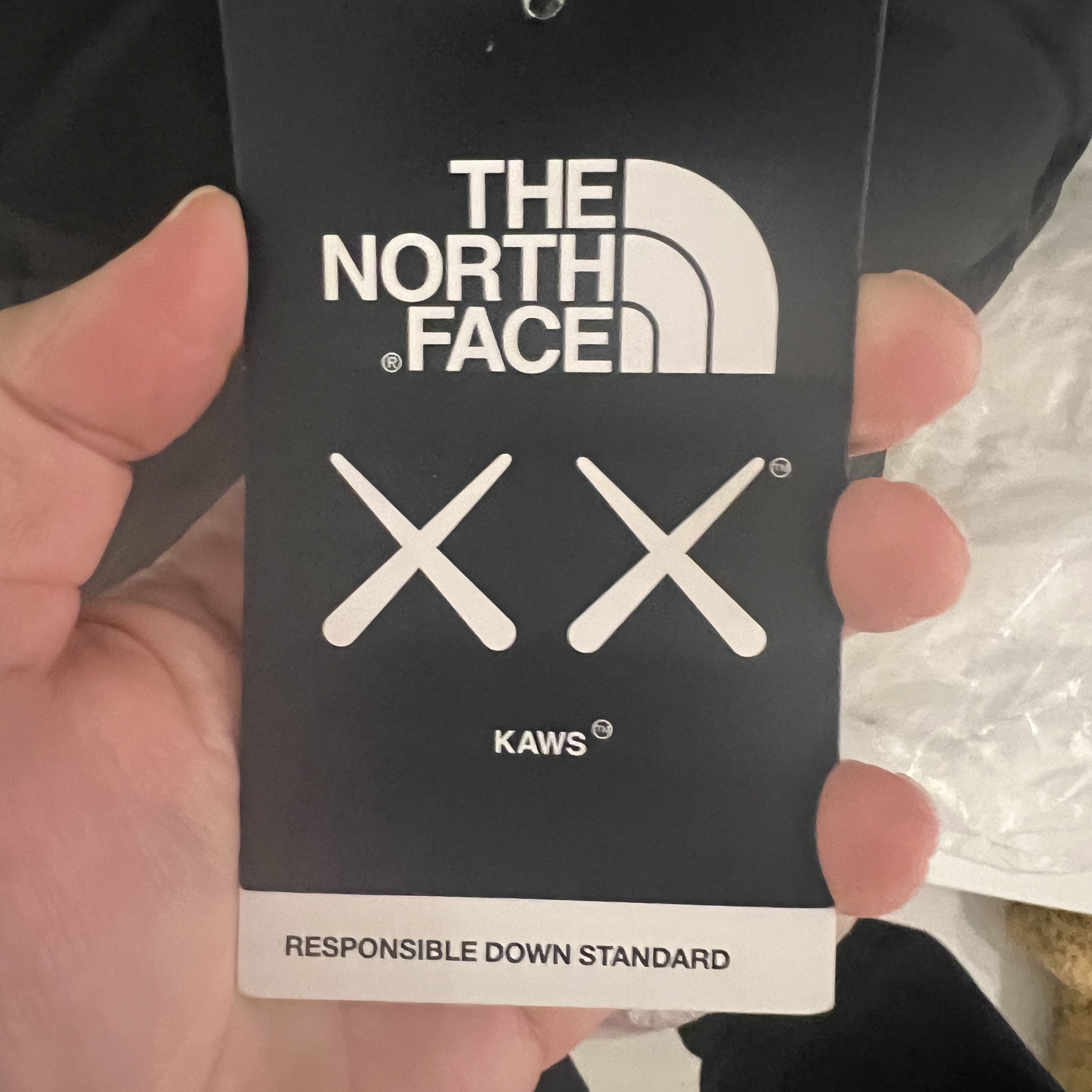 The North Face x Kaws Retro 1996 Nuptse Jacket Black Print - 22FW 착용 스타일 - 3